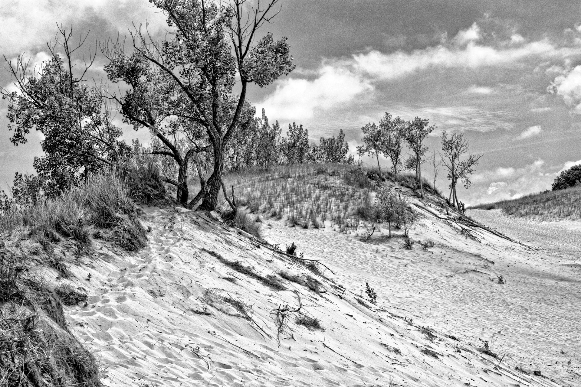 Black & White 00207