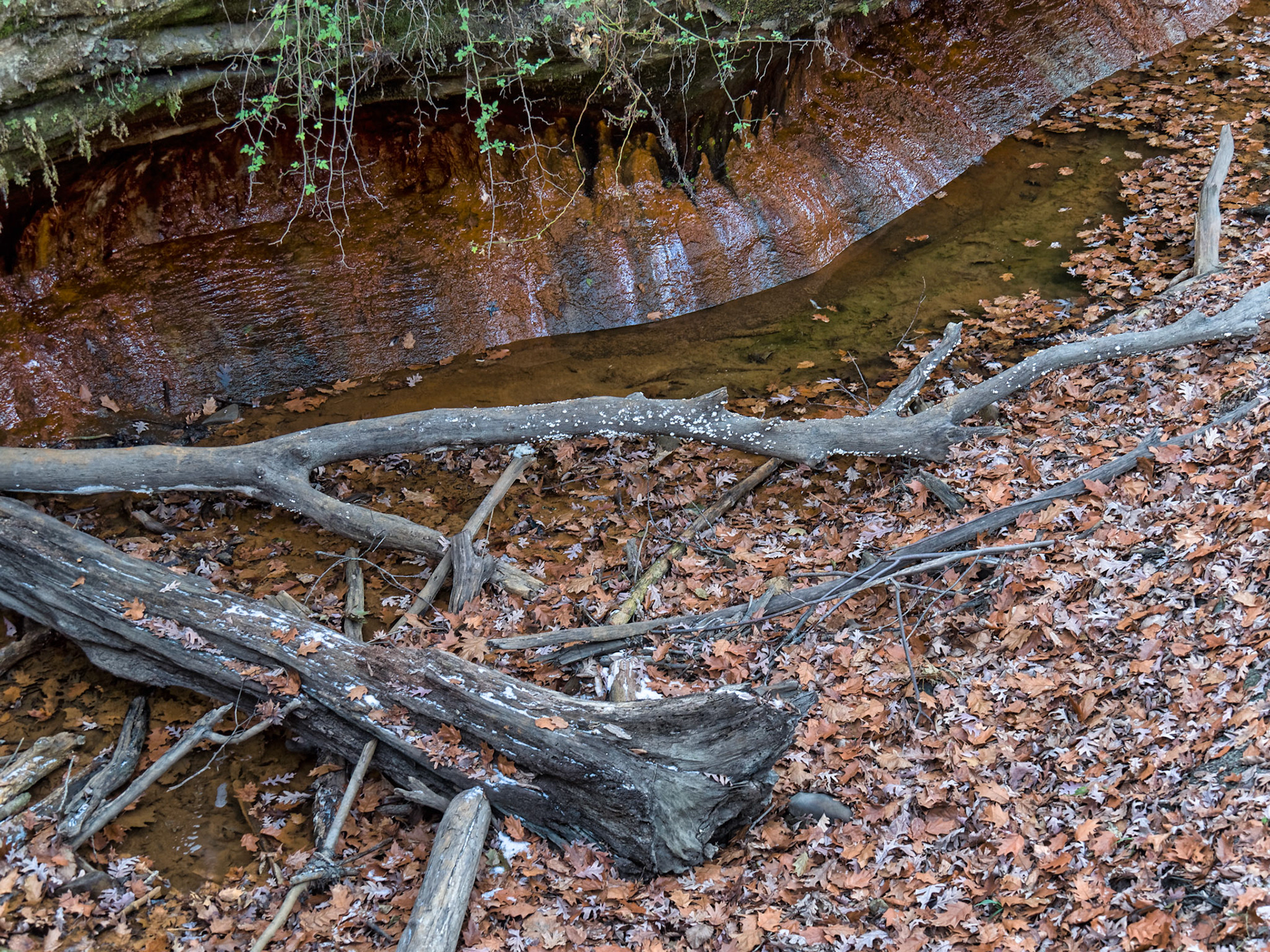 IL Starved Rock 00079