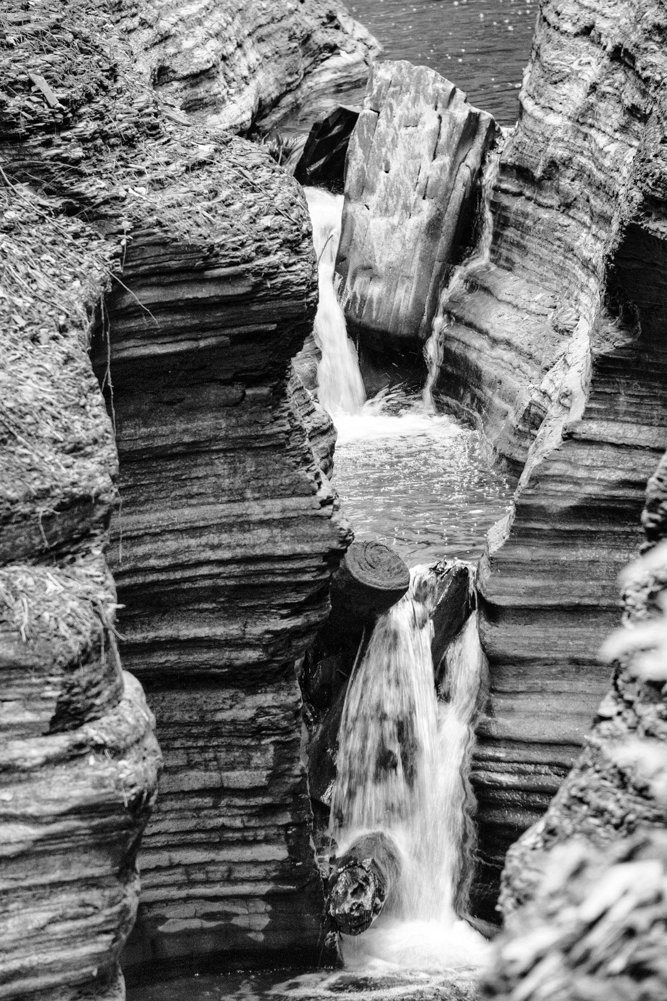 Black & White 00219
