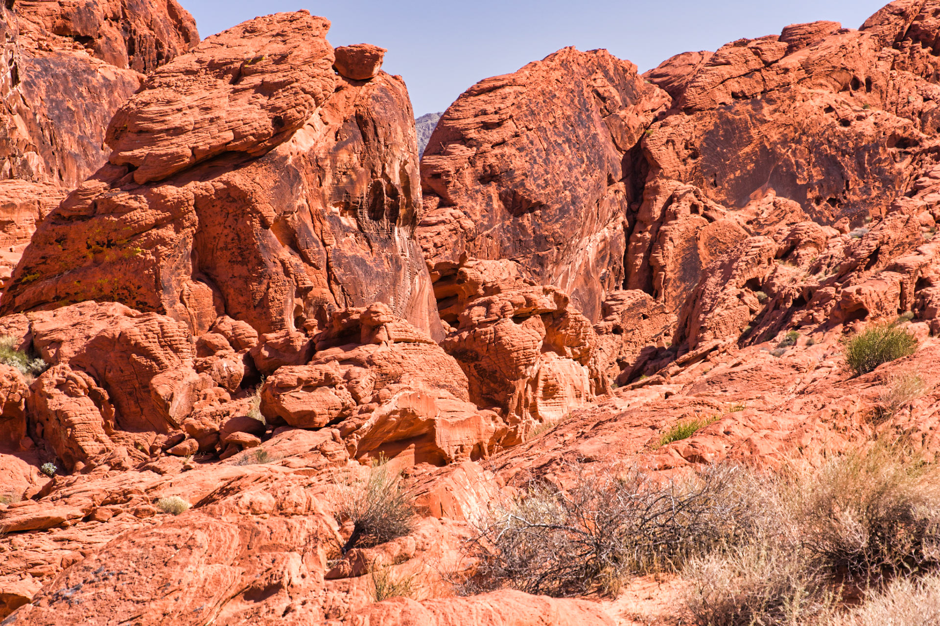 NV Desert 00148