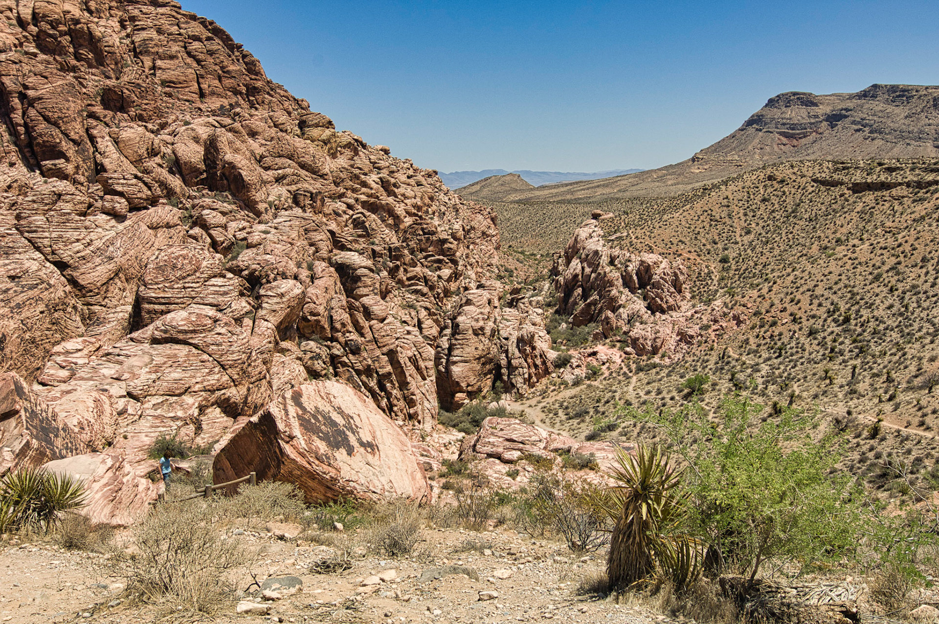 Desert Southwest