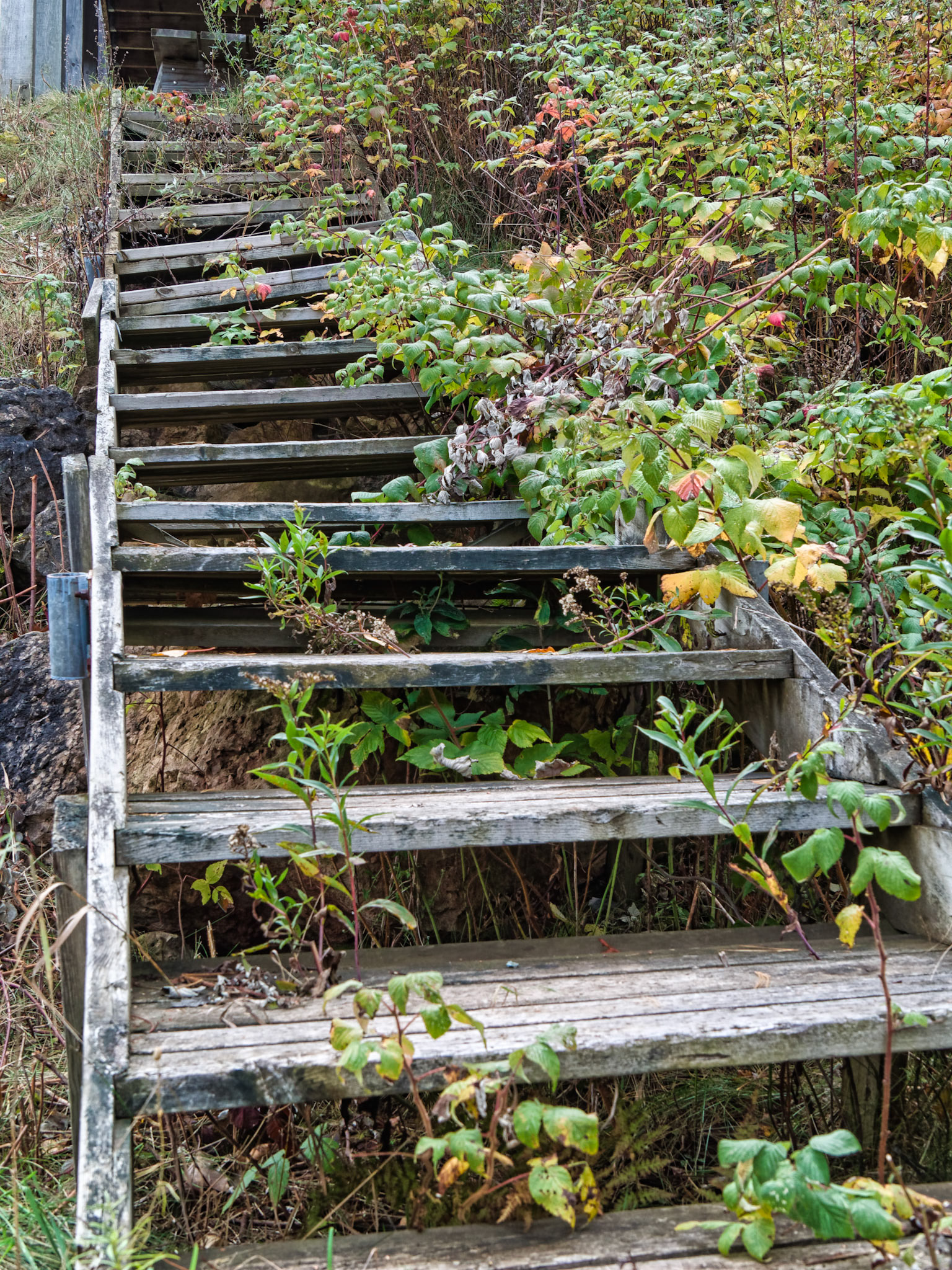 WI Fence 00039