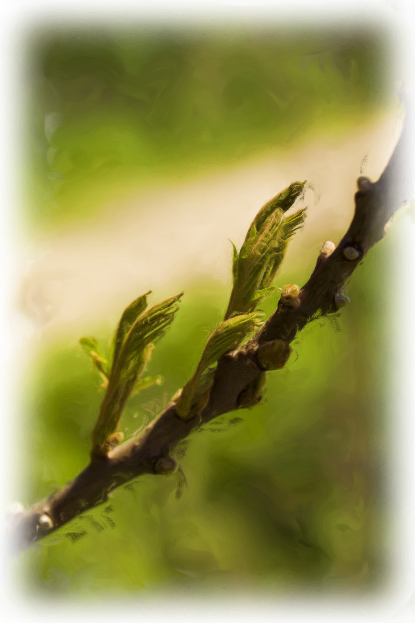 Paintings 00047