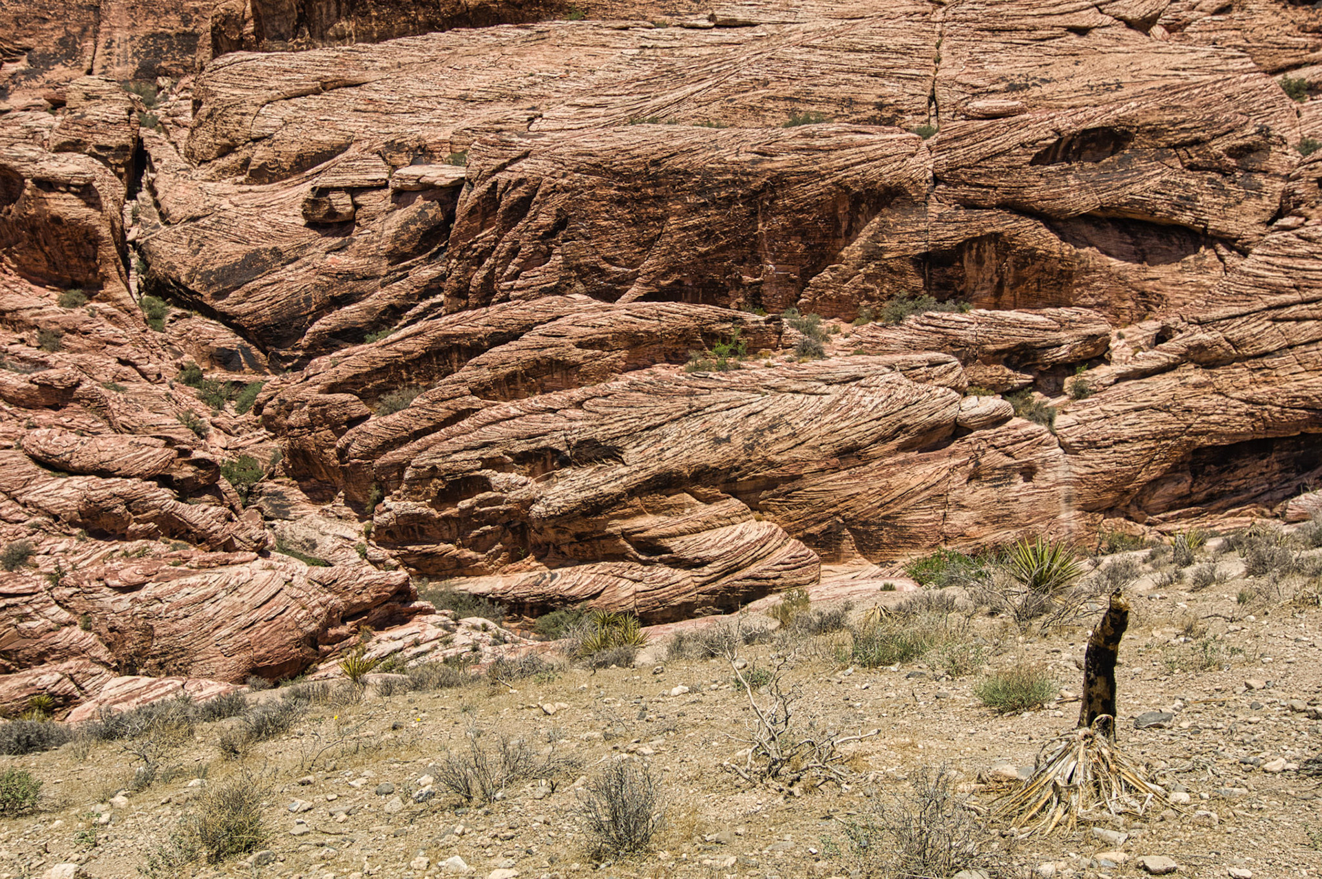 NV Desert 00016