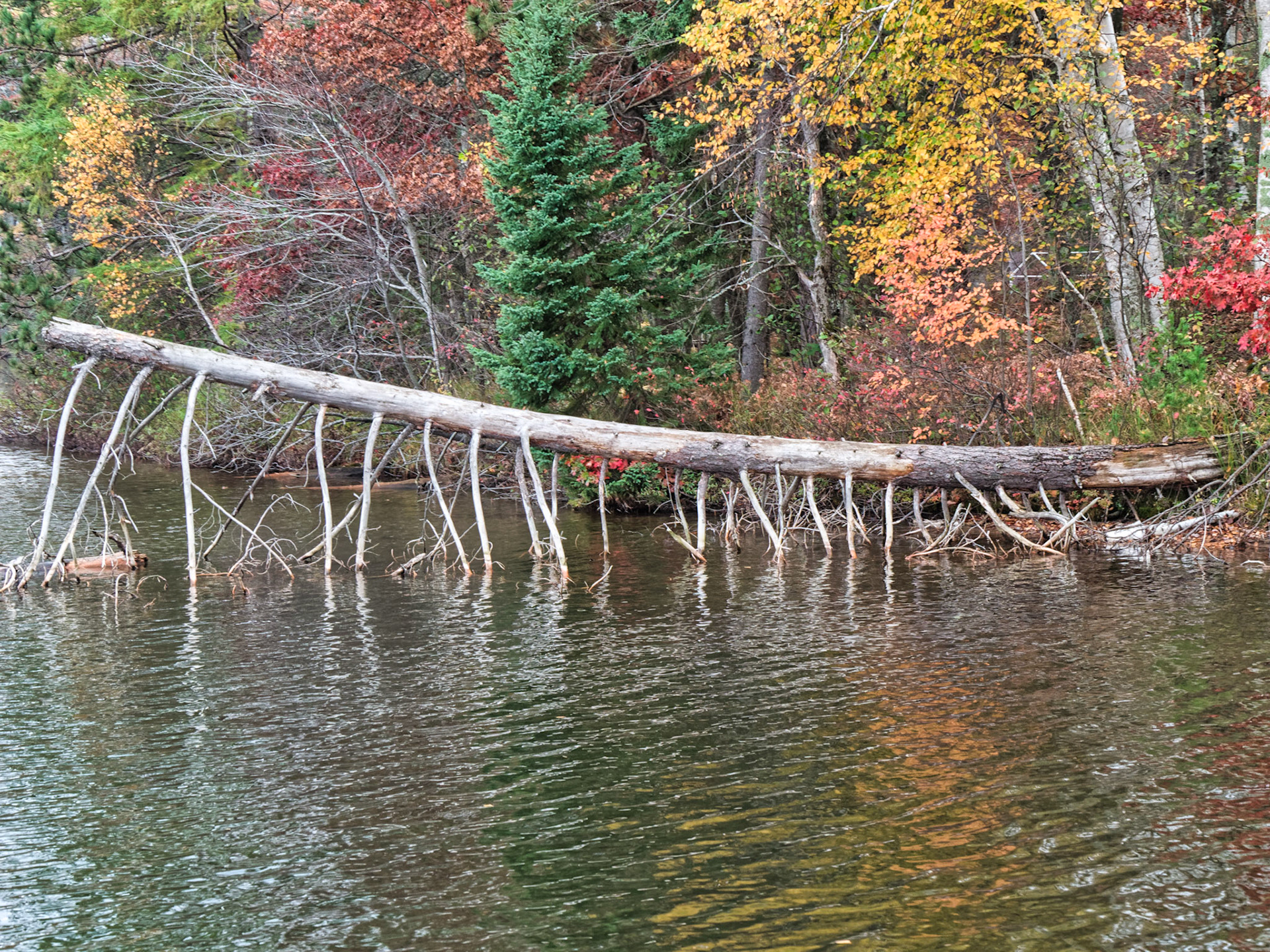 WI Fence 00140