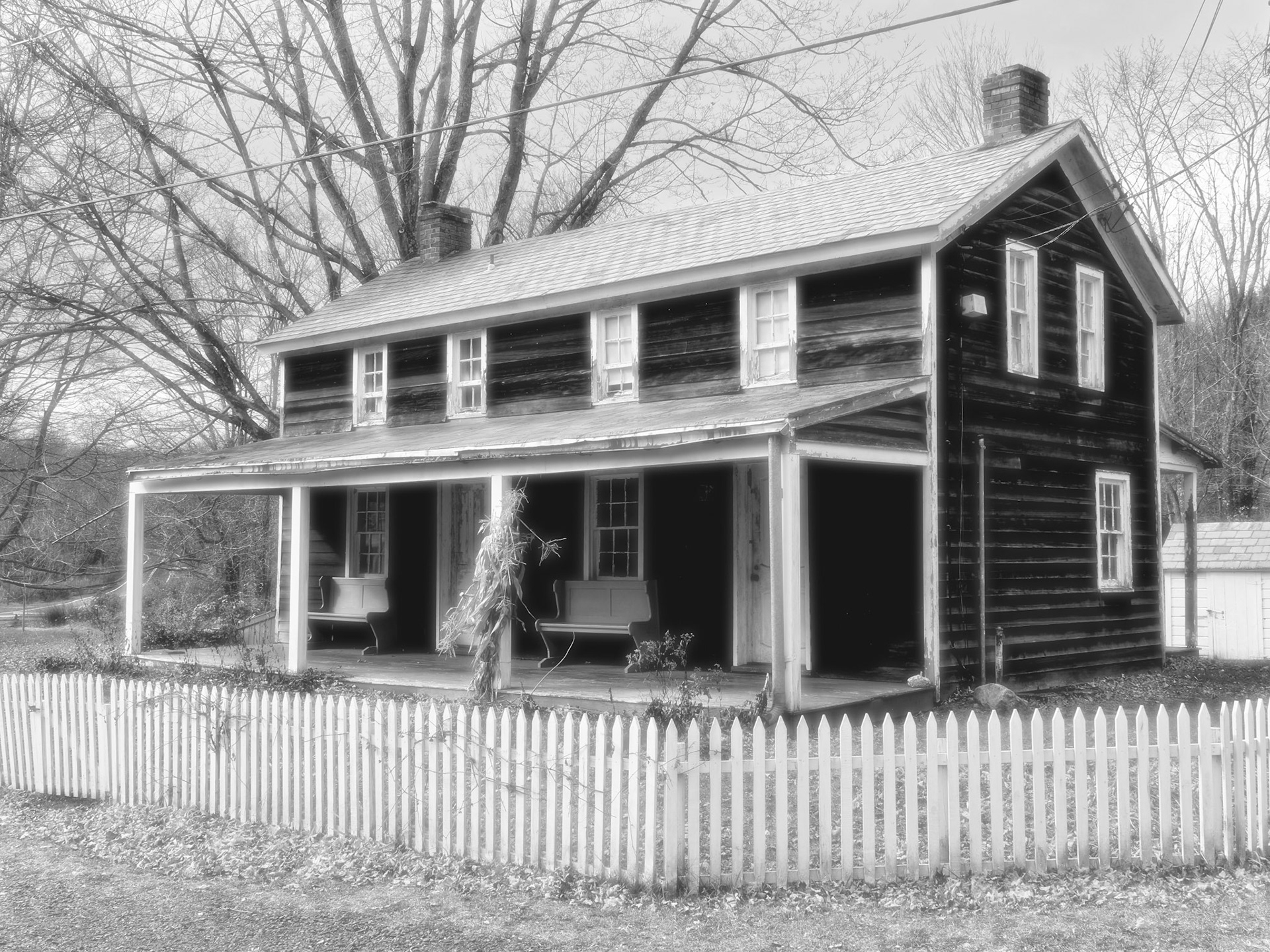 Black & White 00012