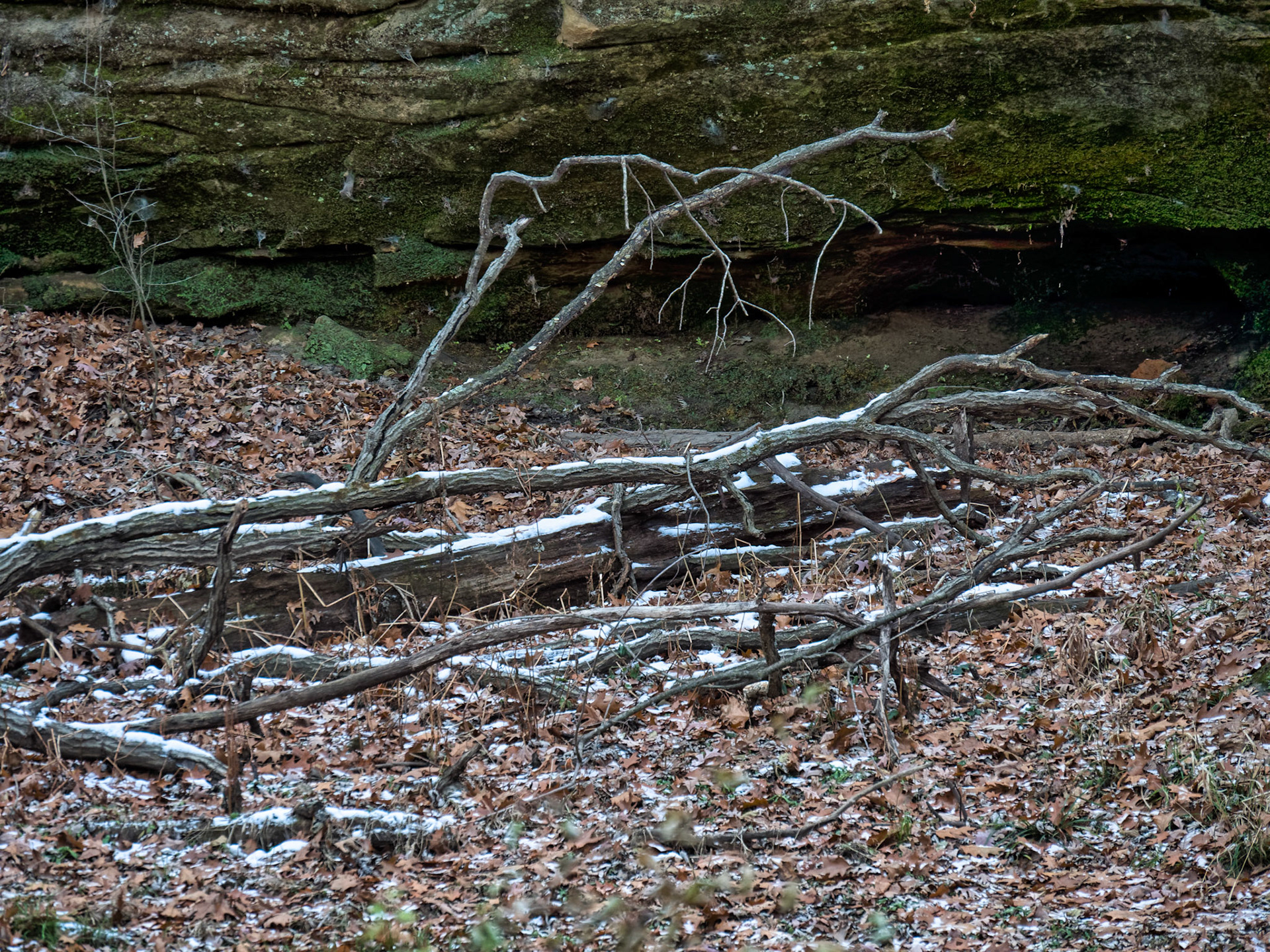 IL Starved Rock 00082