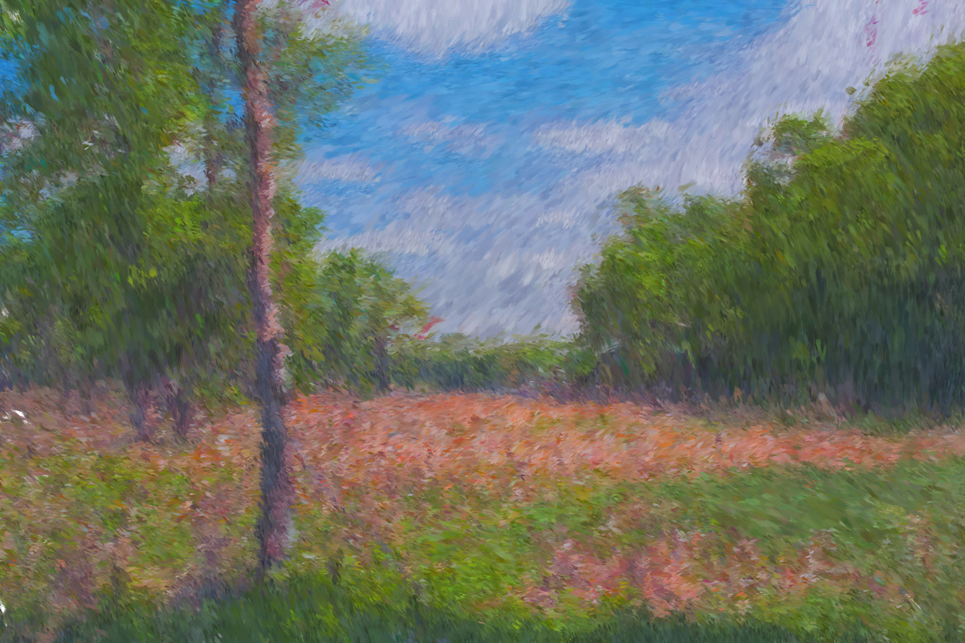 Paintings 00050