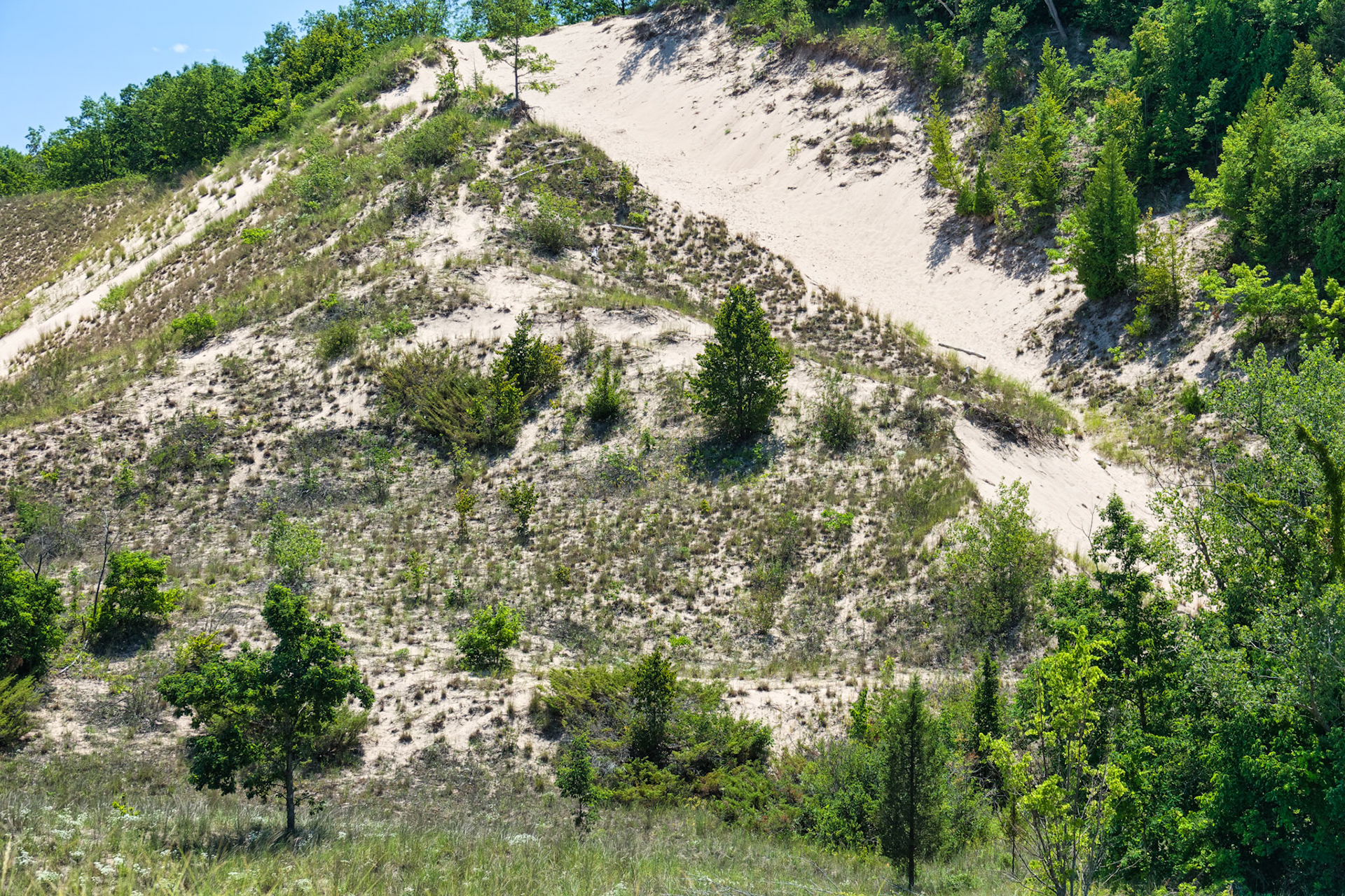 MI Dunes 00045