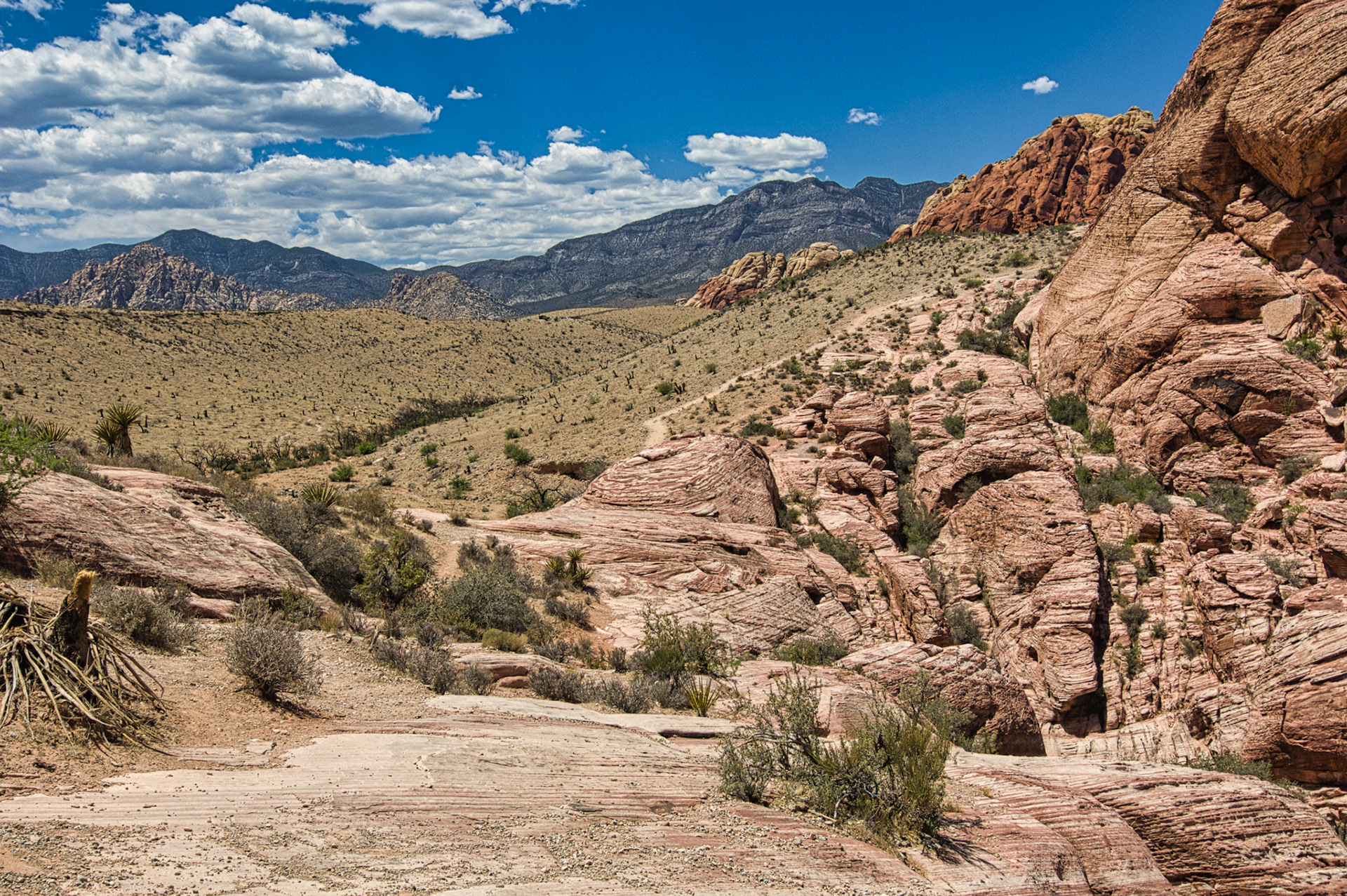 NV Desert 00018