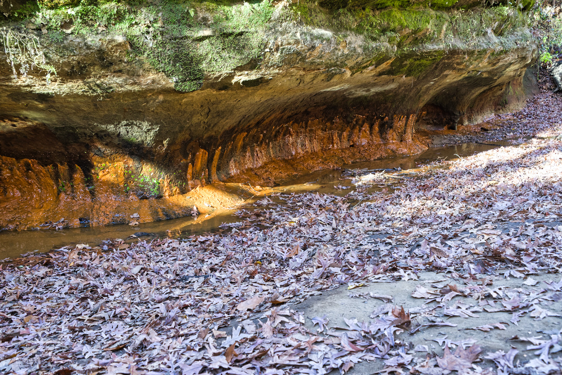 IL Starved Rock 00013