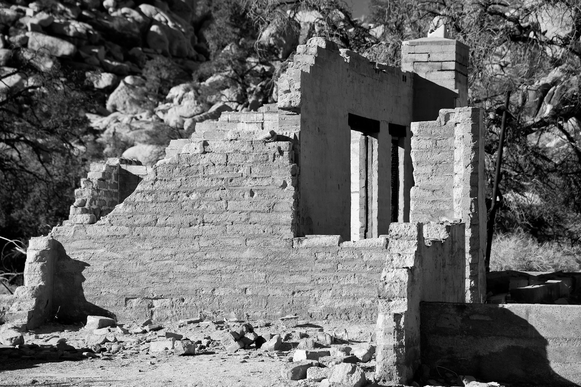 Black & White 00110