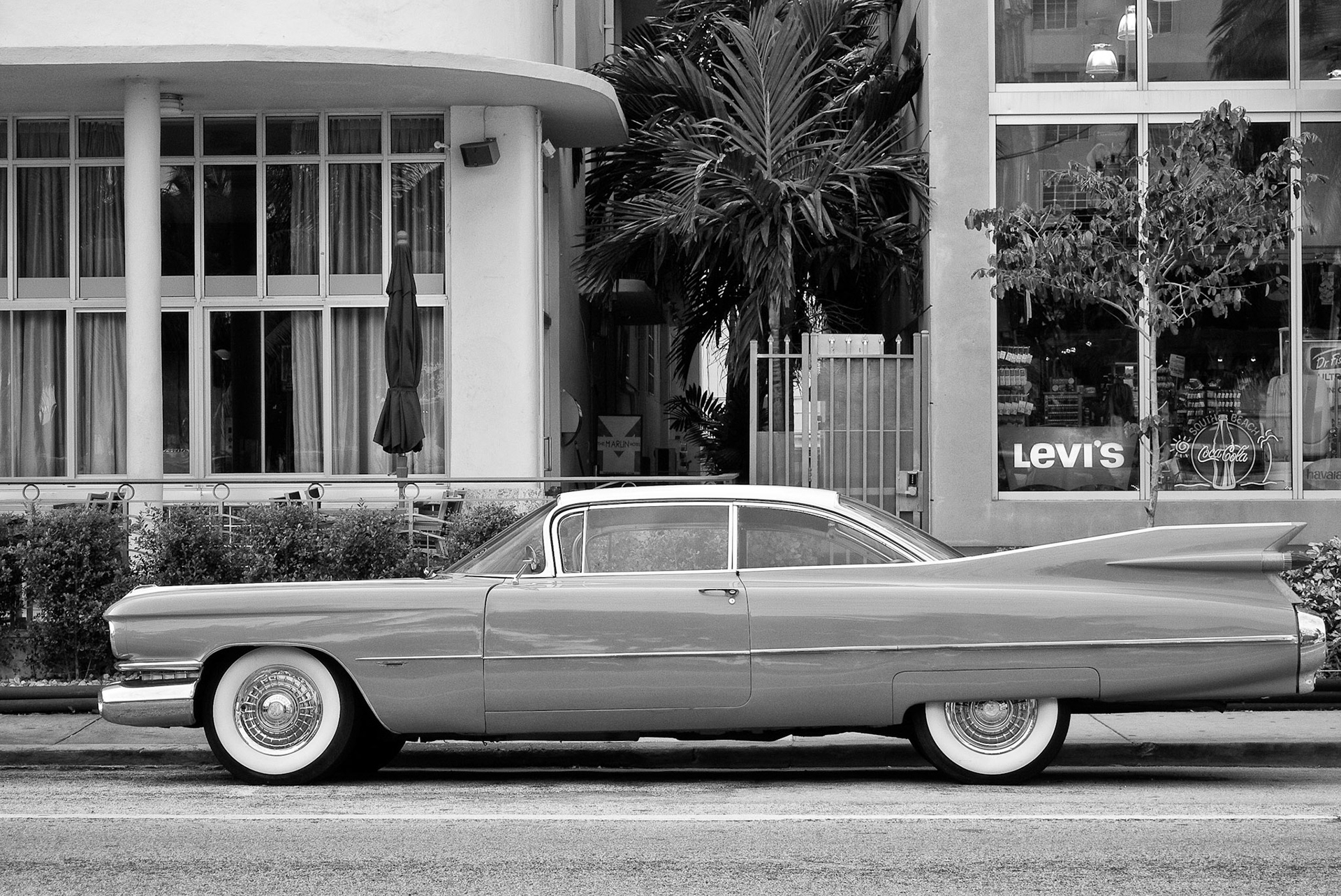 Black & White 00141