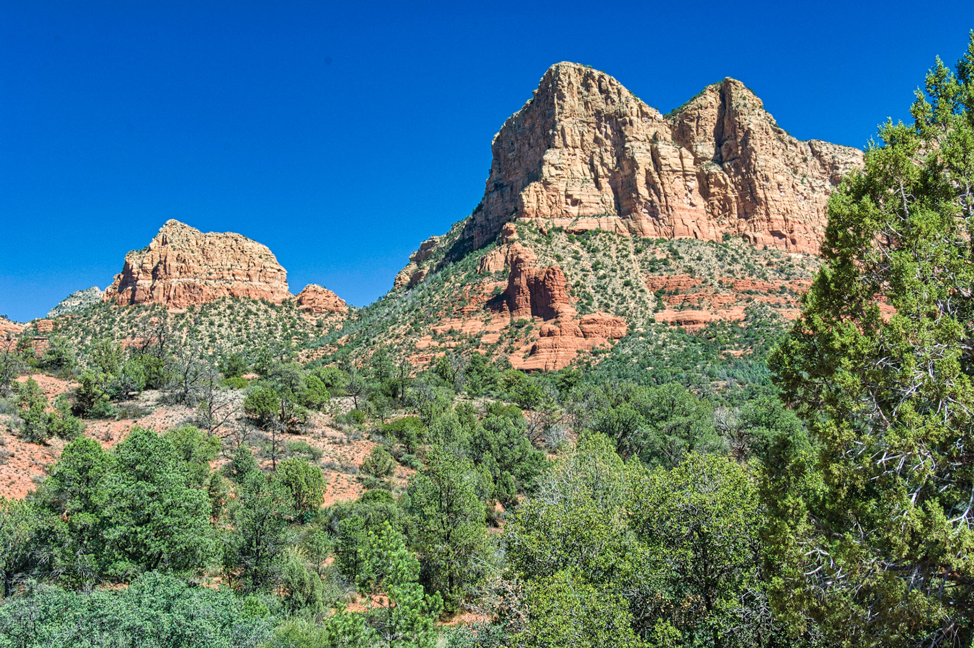 Desert Southwest