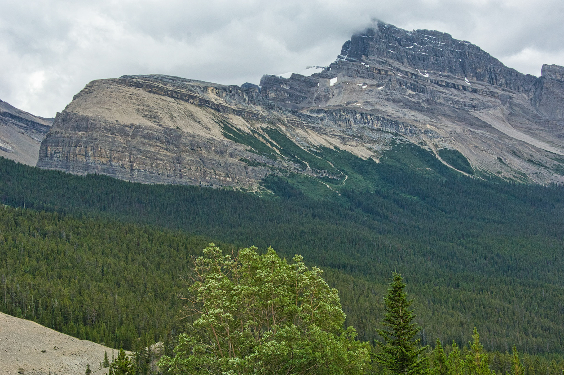 Canada Alberta 00062