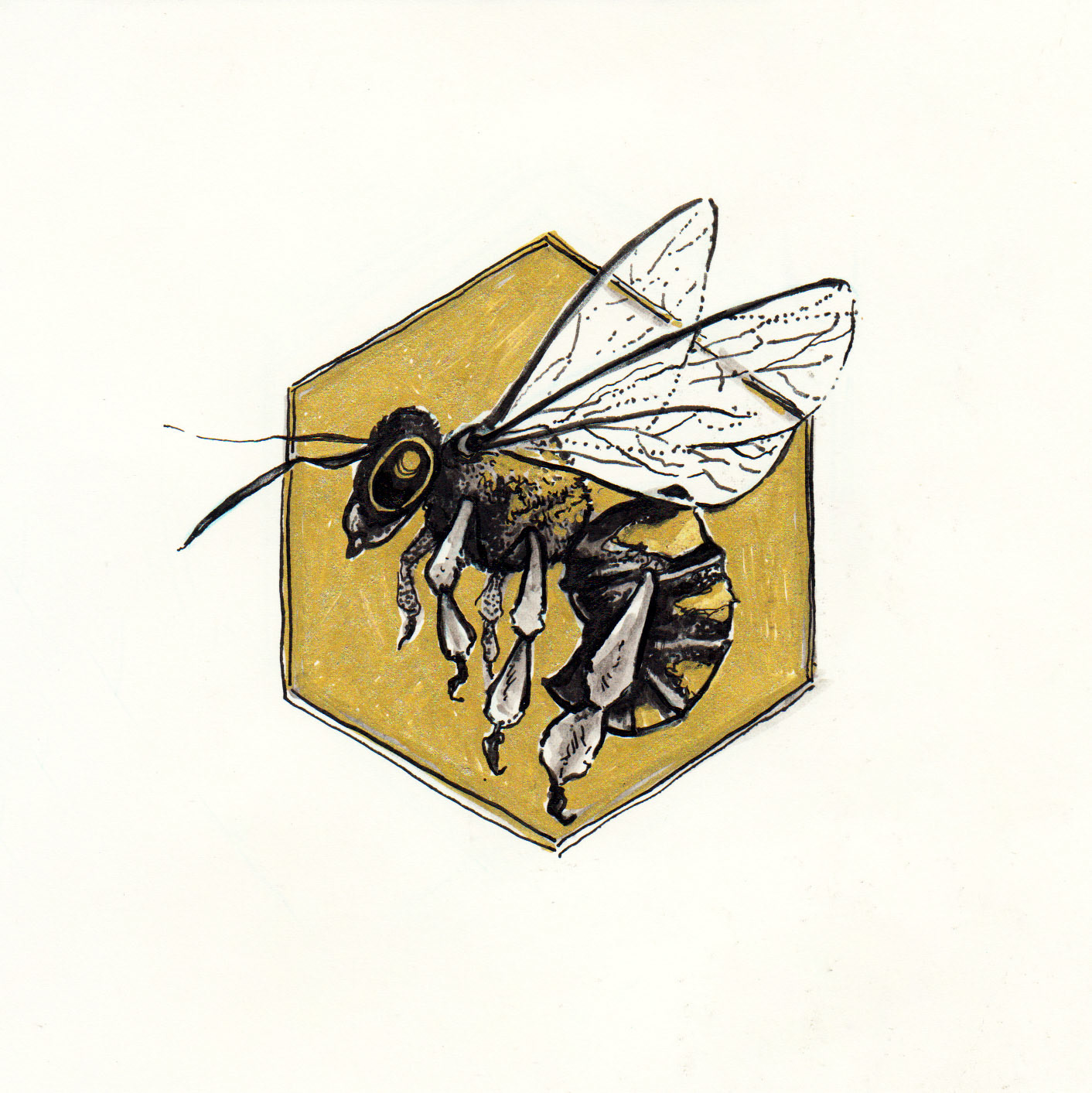 "Bee - Gold"