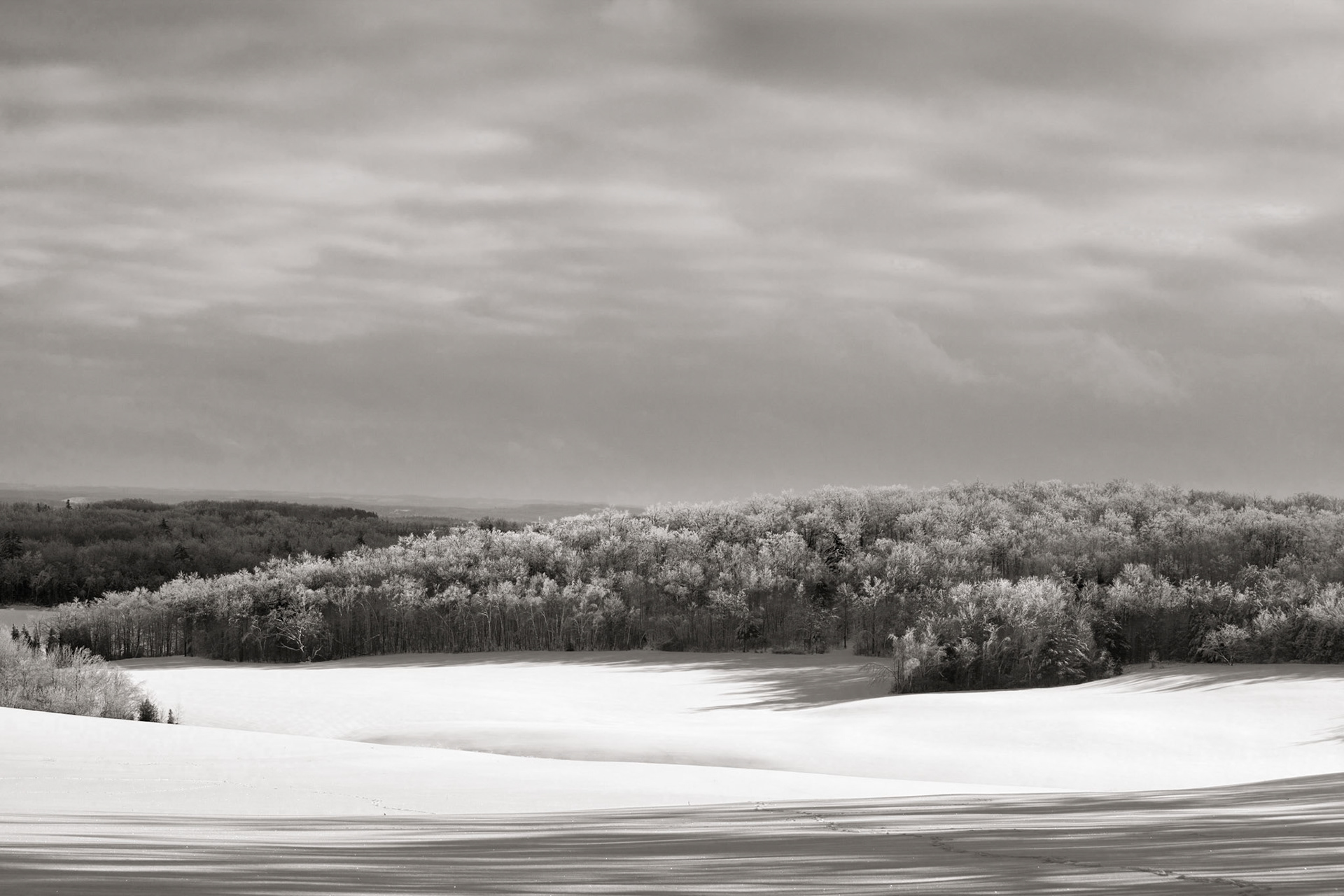After Ice storm