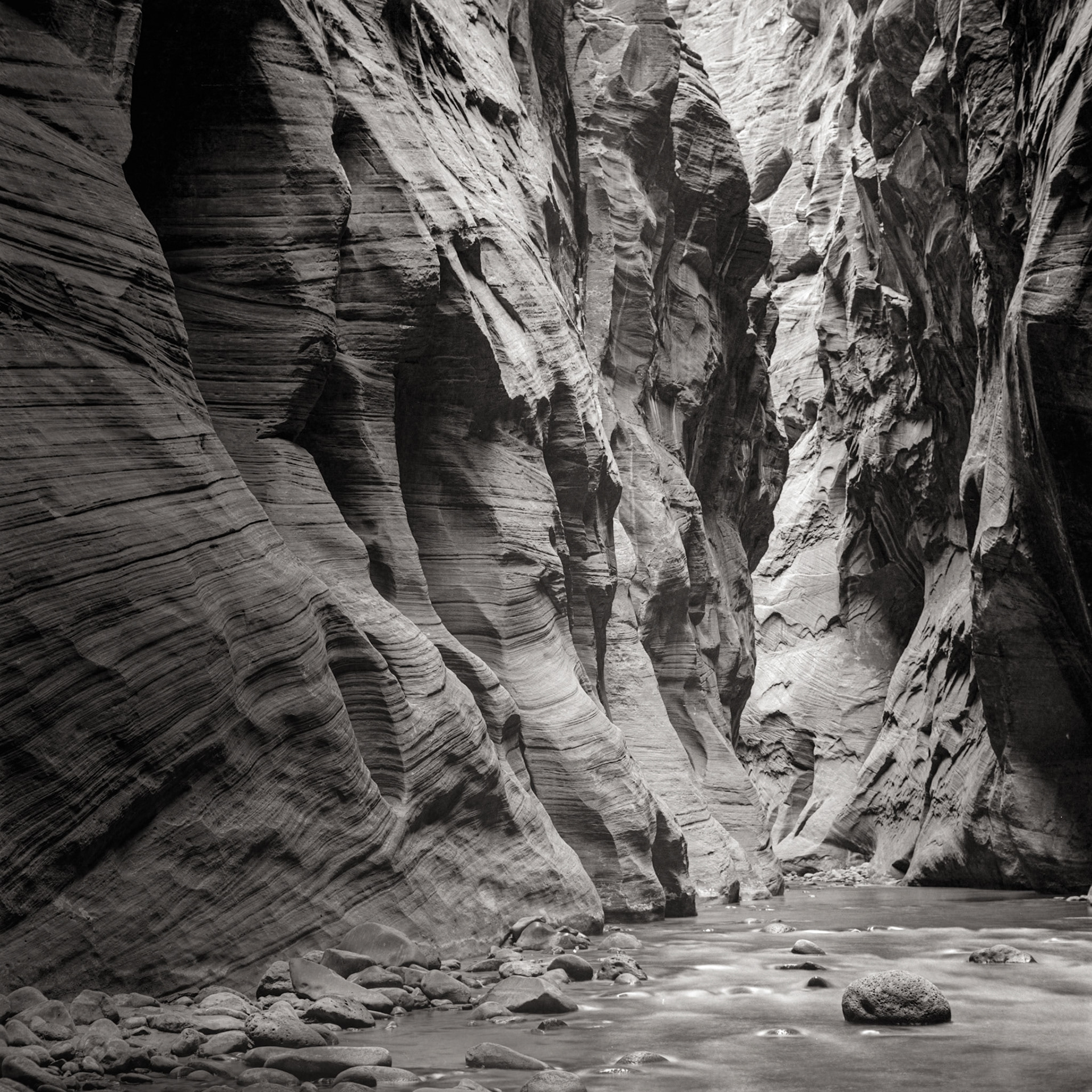 Zion Canyon, 1989. scanned 6x6 negative.
