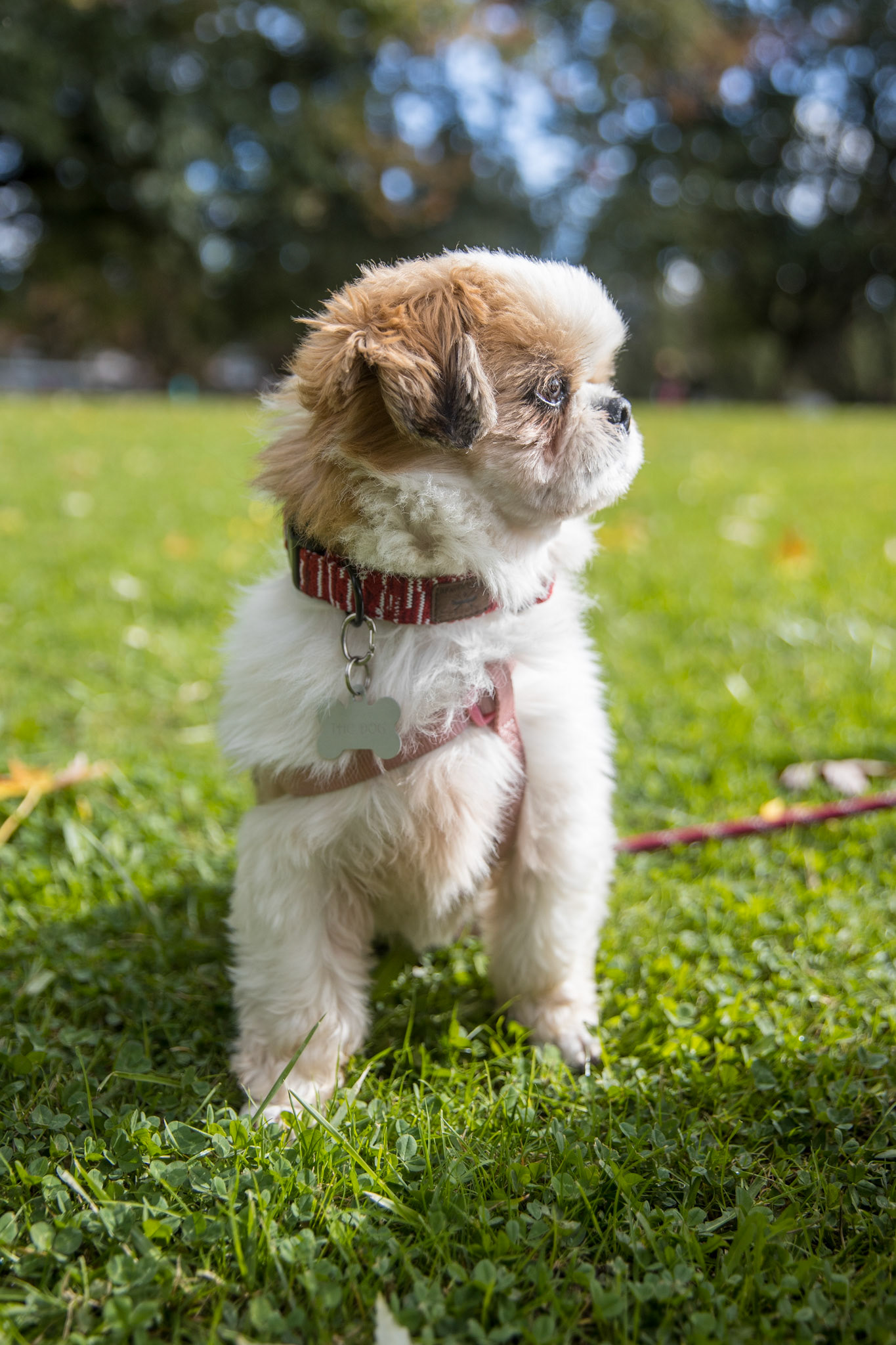 Dongmin // Trout Lake // Vancouver, BC