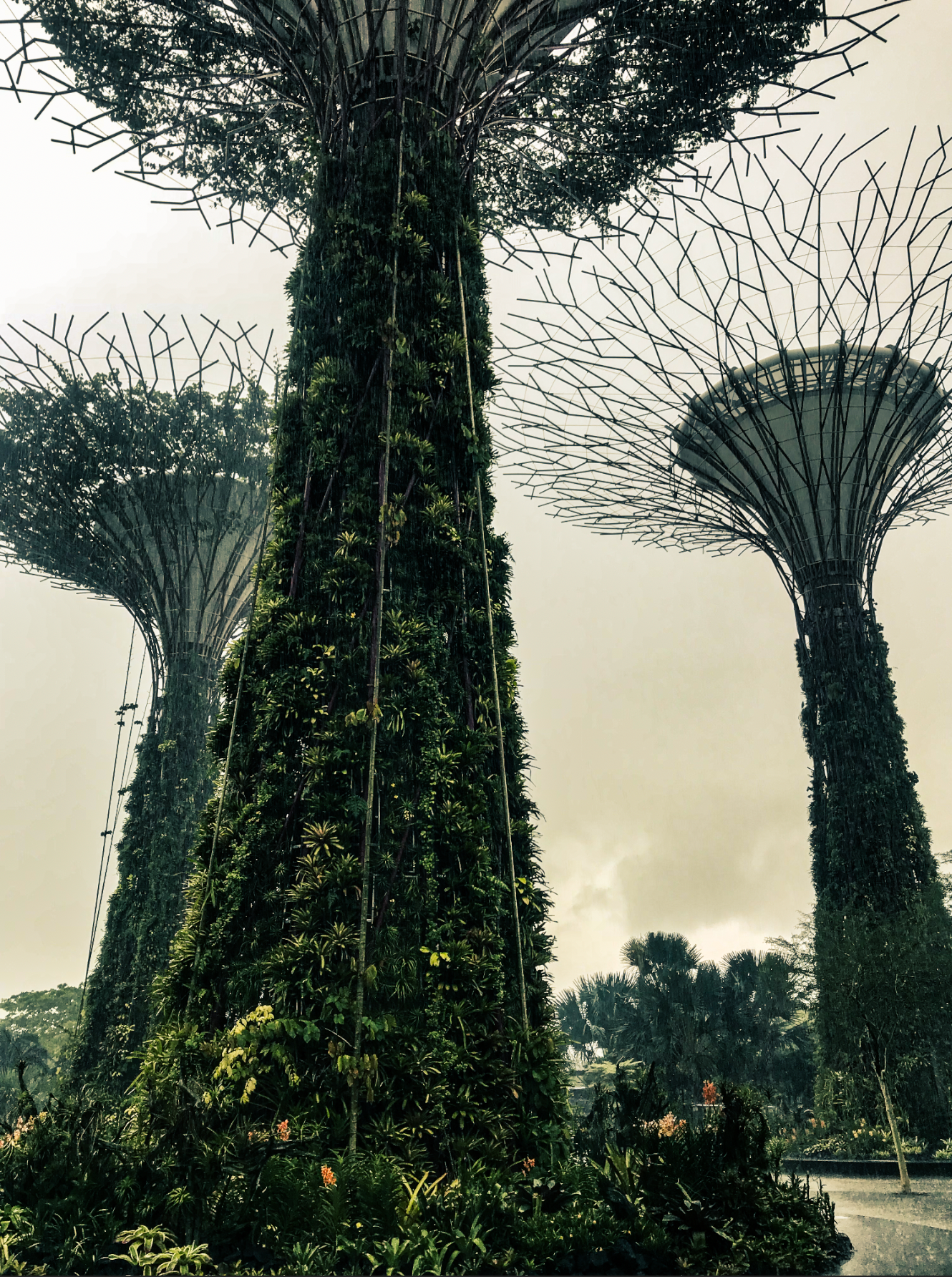 Gardens by the Bay, Singapore