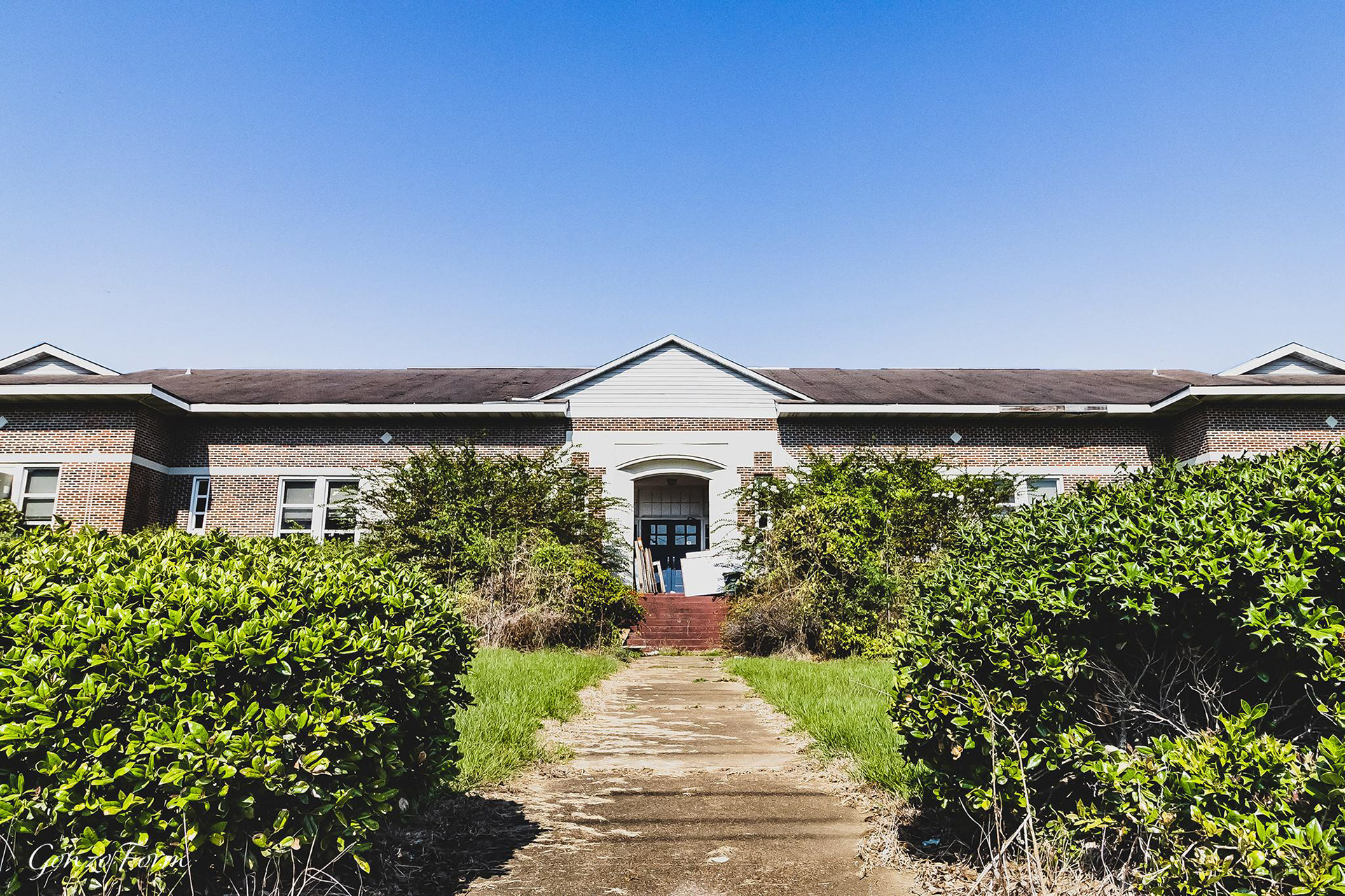gonzo-form-eastside-elementary-school