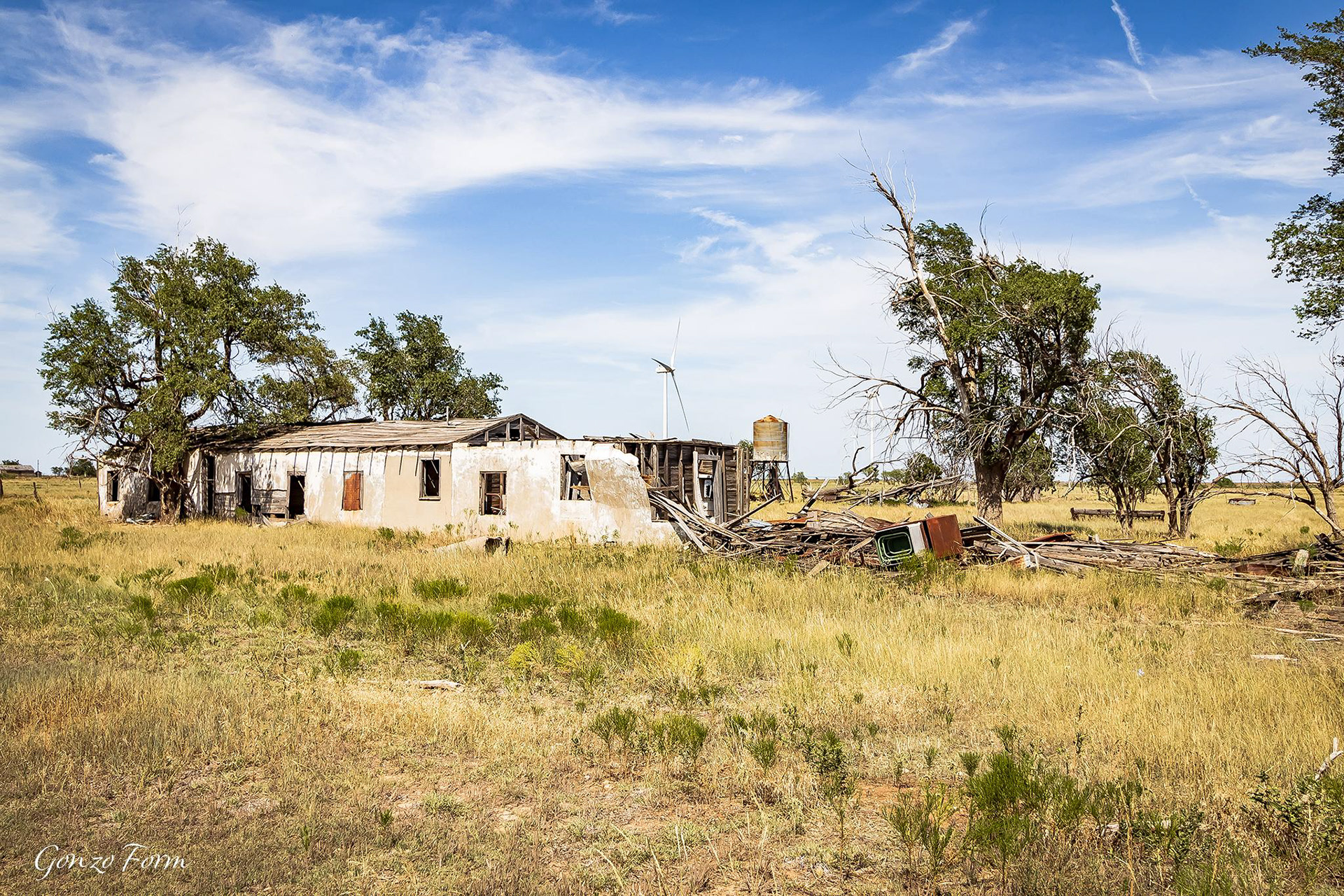 Gonzo Form Jericho House