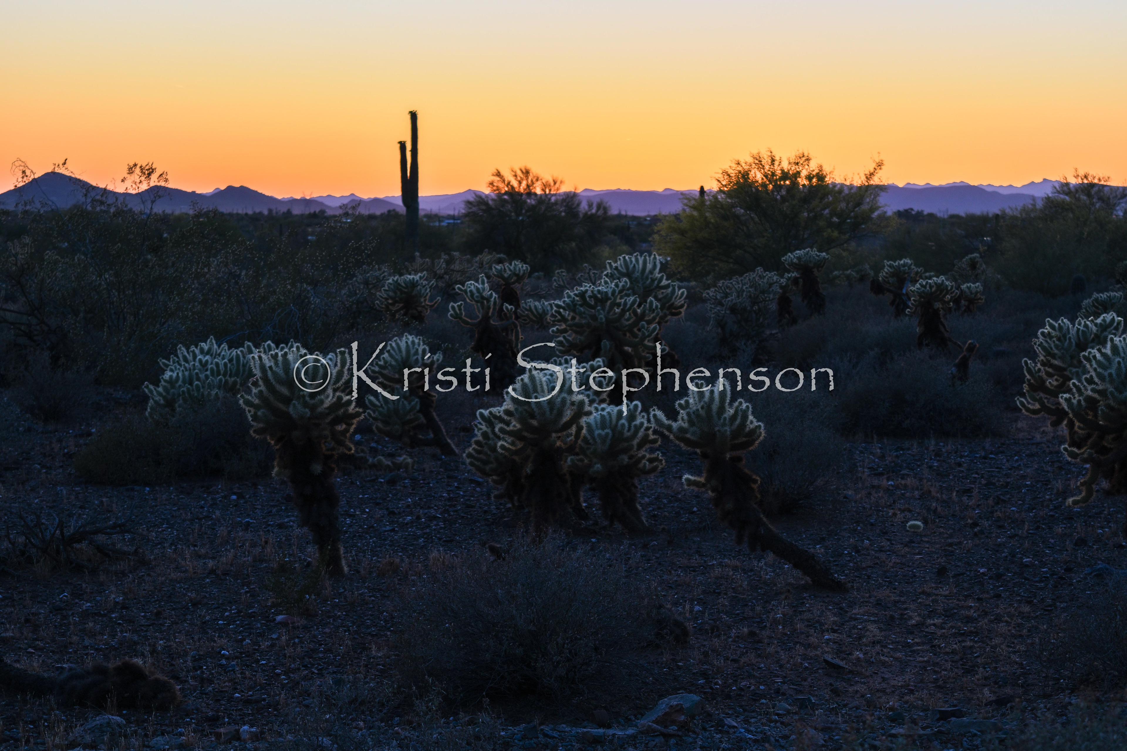 Sonoran Desert Sunset 2