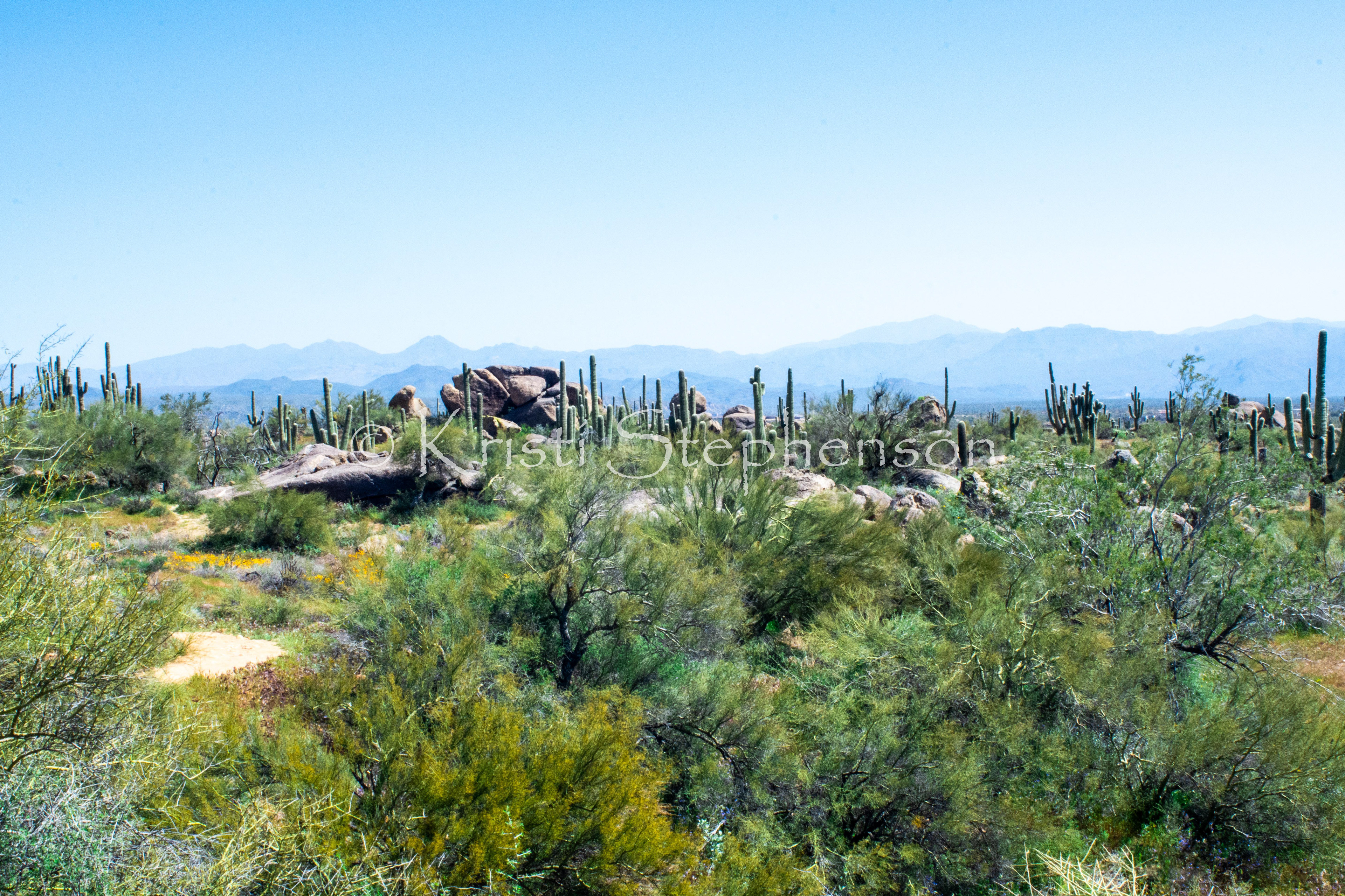 Sonoran Desert Skyline 2