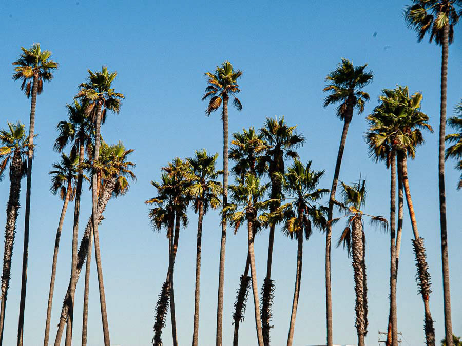 177 LOS ANGELES