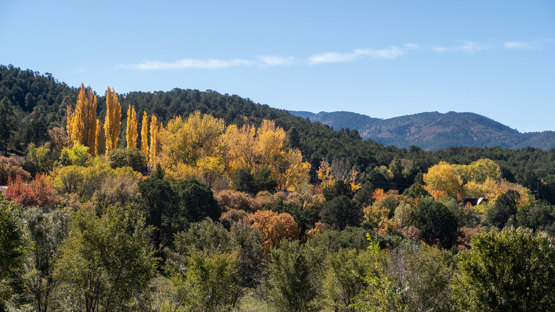 Lincoln National Forest