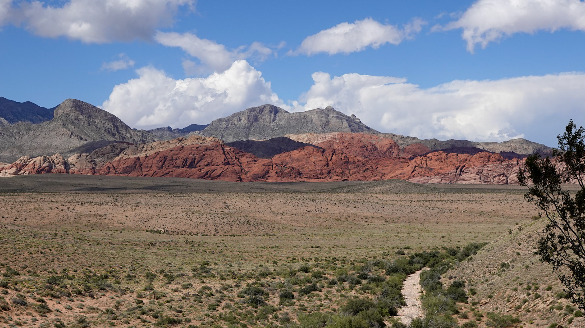Red Rock Canyon