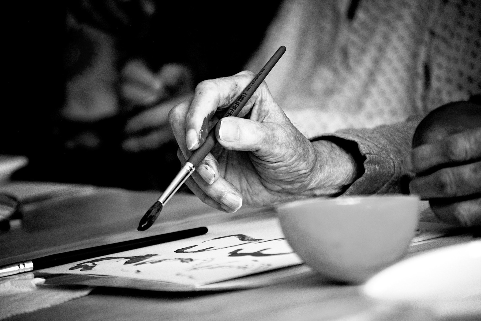 neznámý senior - dobrovolnická činnost