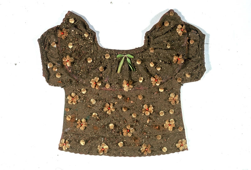 Born, berries, seed pods, leaves, spider, dirt on blouse, 15in x 17in, 1994