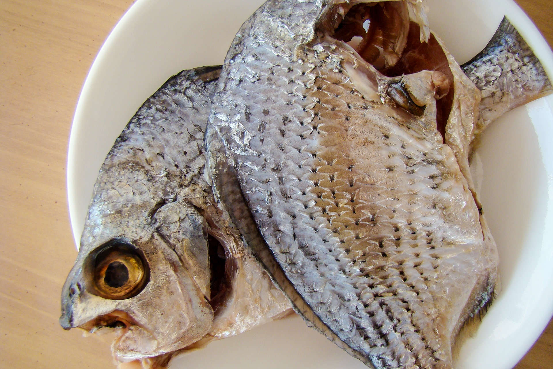 Small fish are ideal. White bass is our favorite.