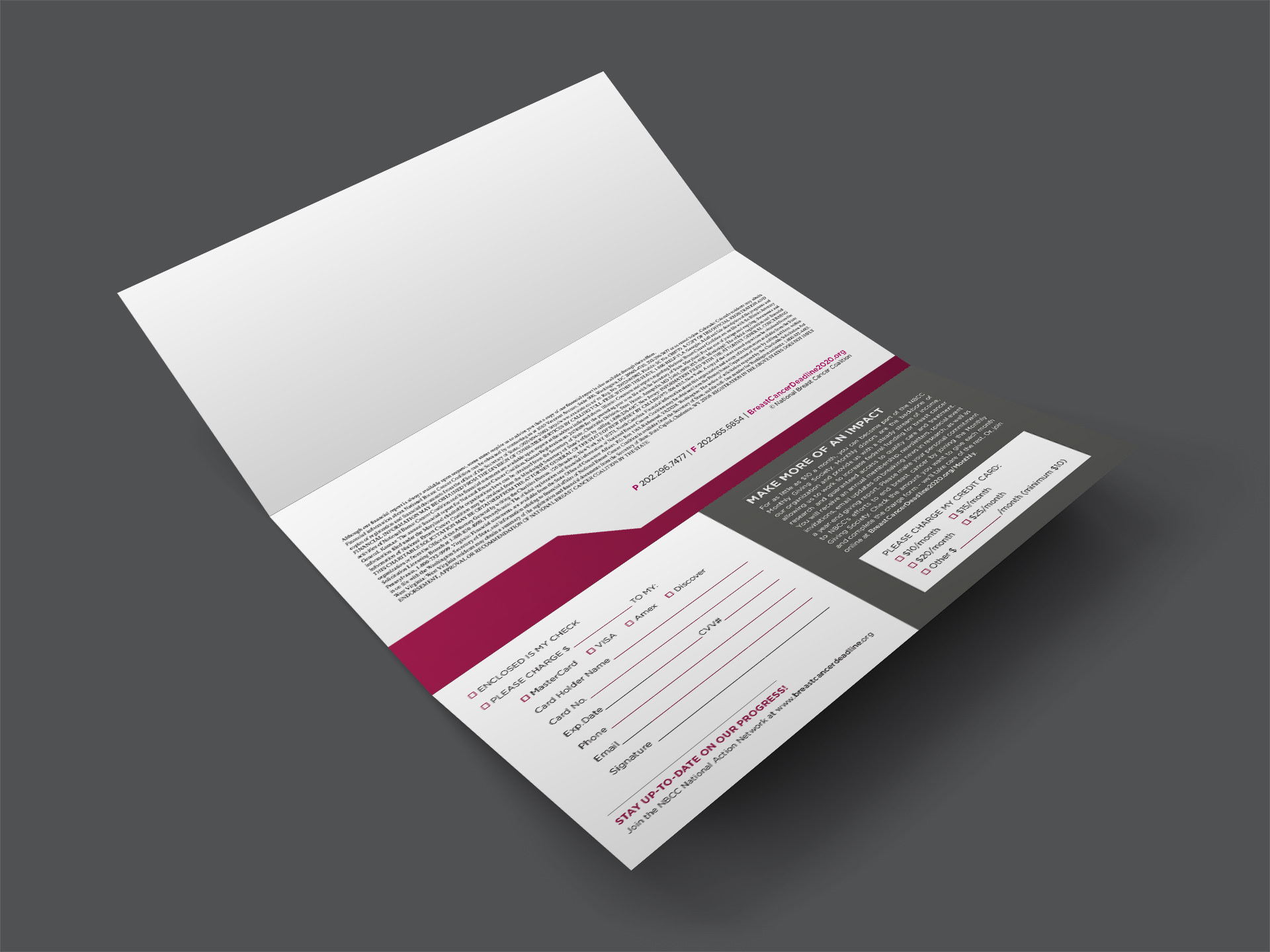 DIRECT MAIL BACK