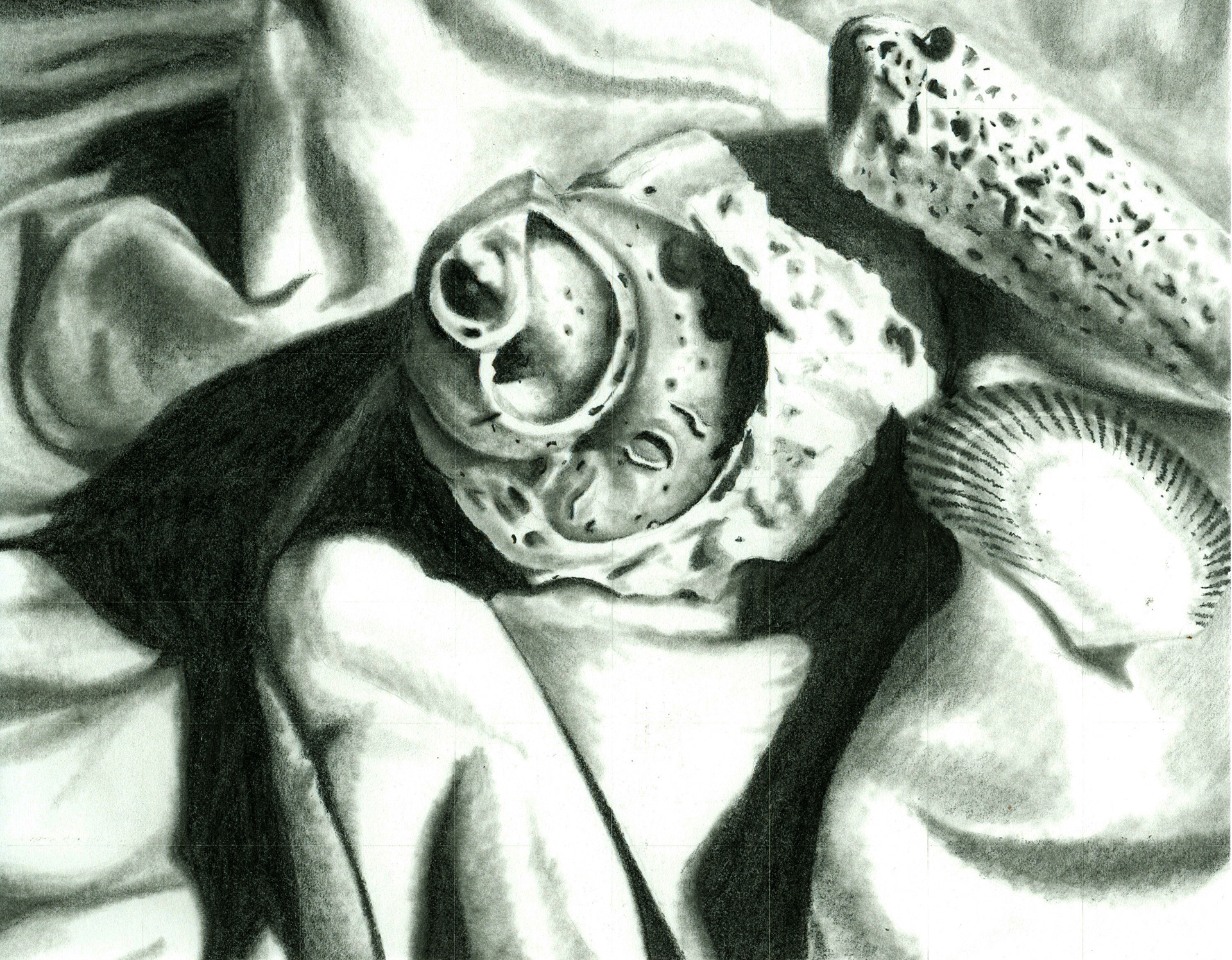 Graphite Pencil—Texture