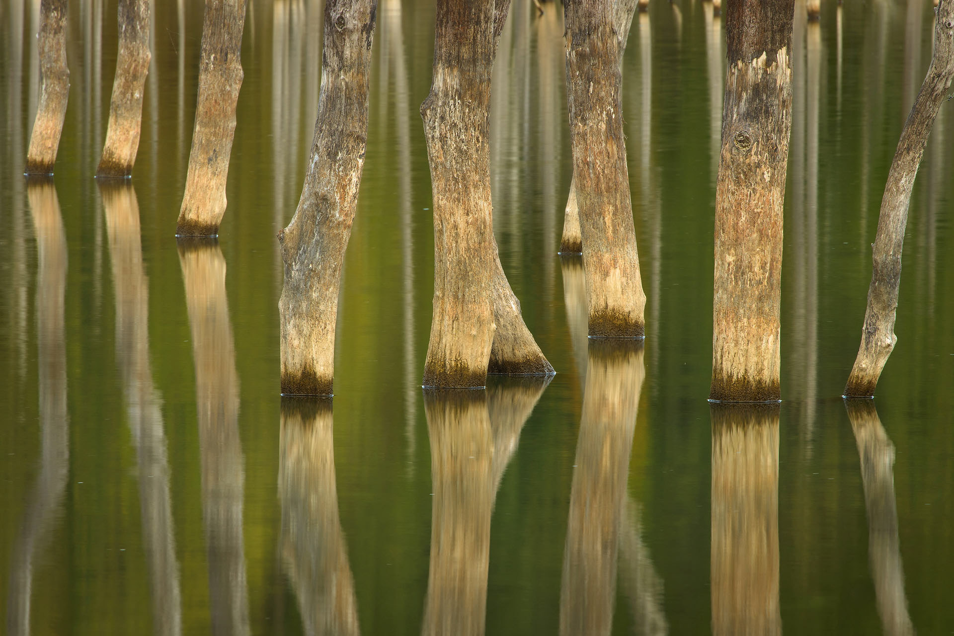 Lacul Cueșdel