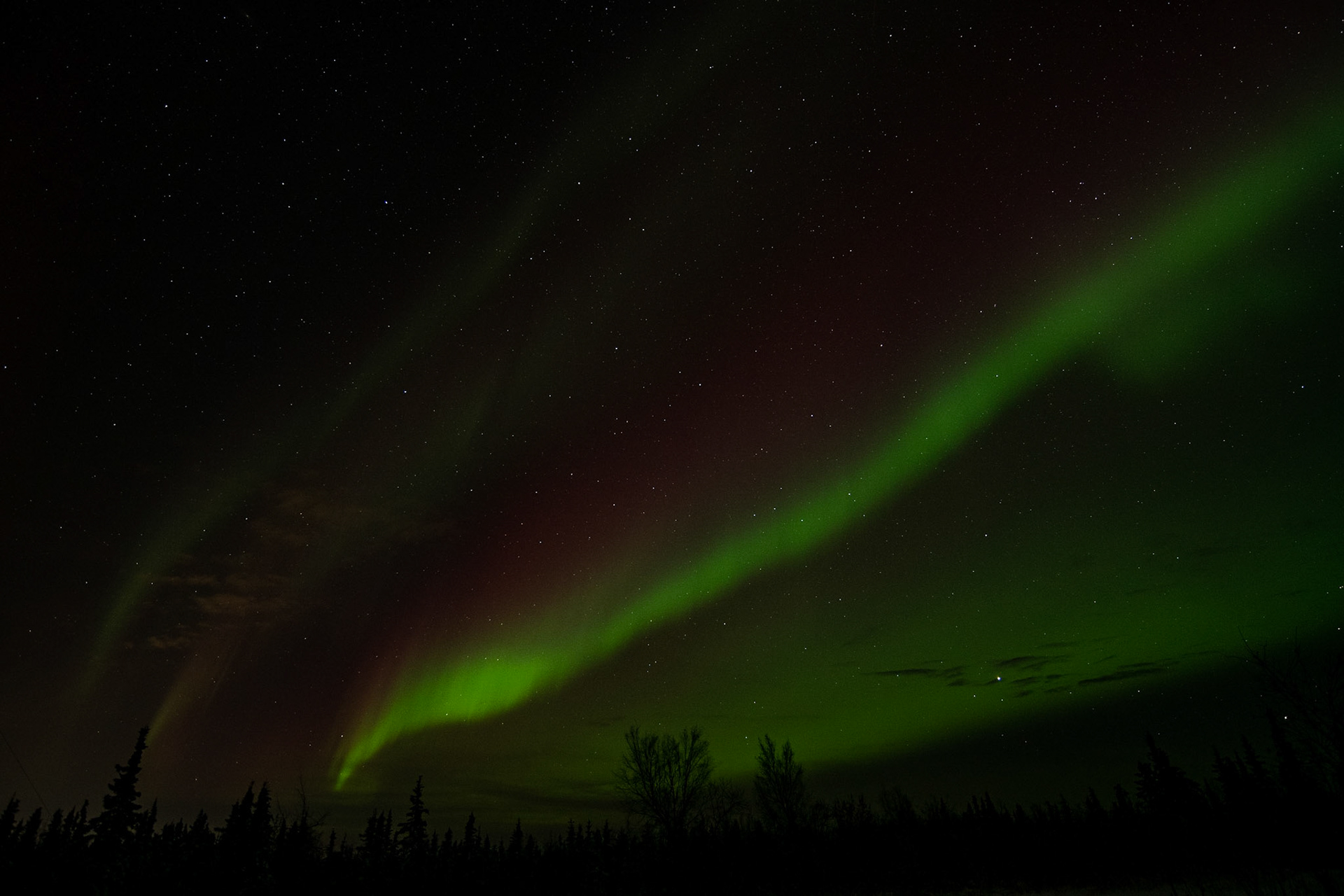 Aurora borealis at Murphy dome