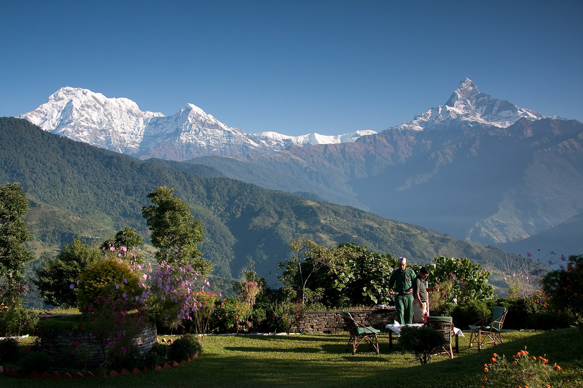 View from Basanta Lodge (Annapurna Sth, Hiunchuli and Fish Tail)