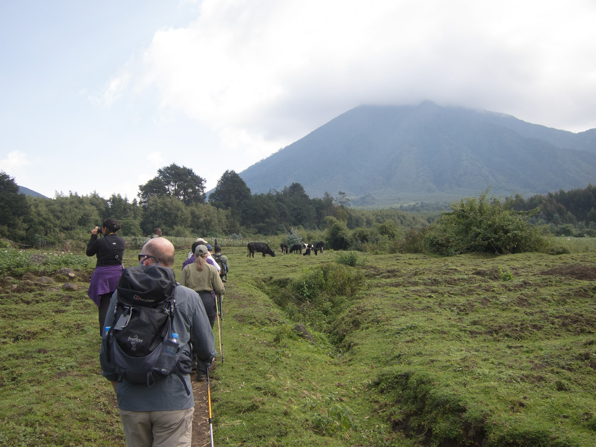 Trekking in the Virungas