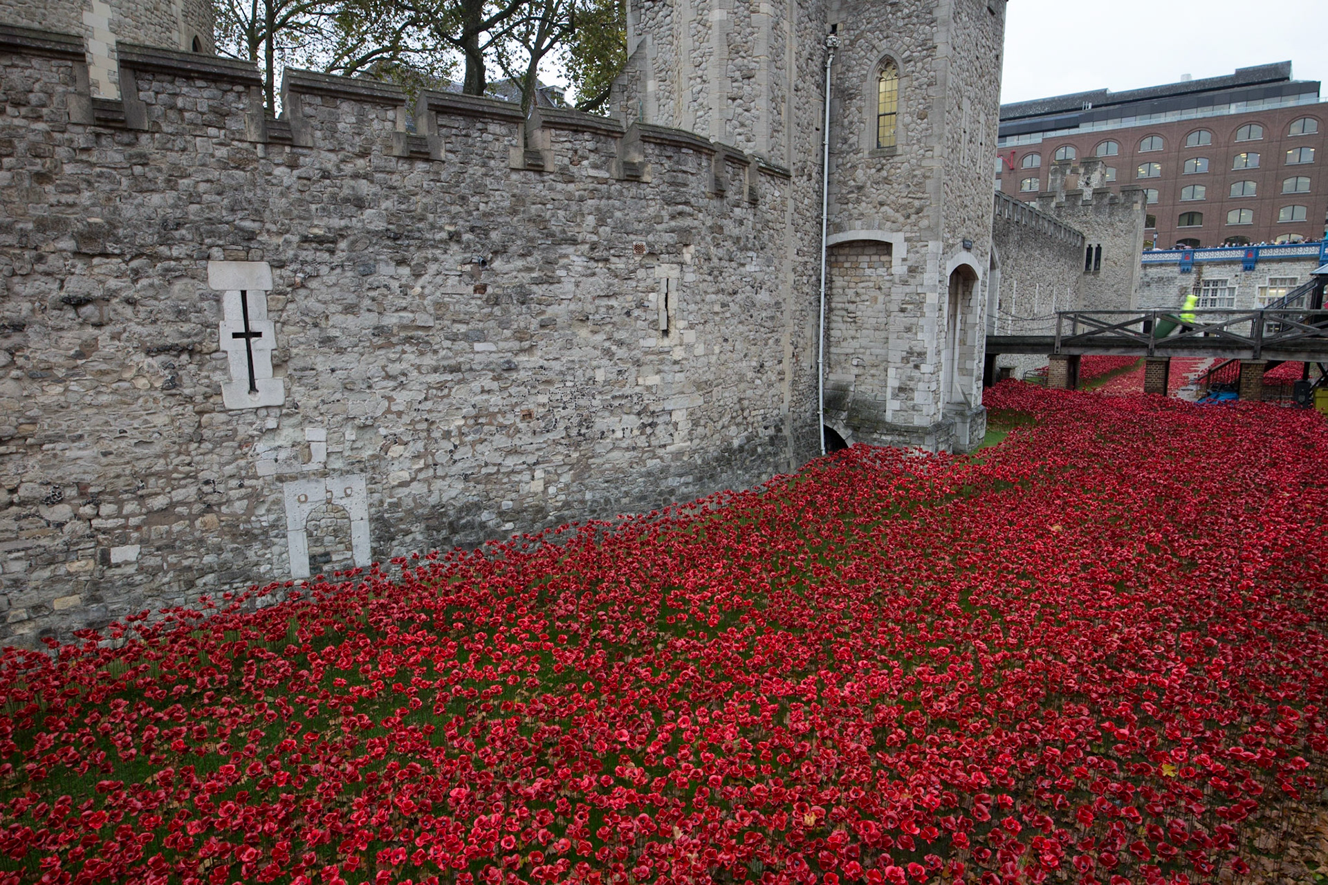 Poppies in moat at Tower of London