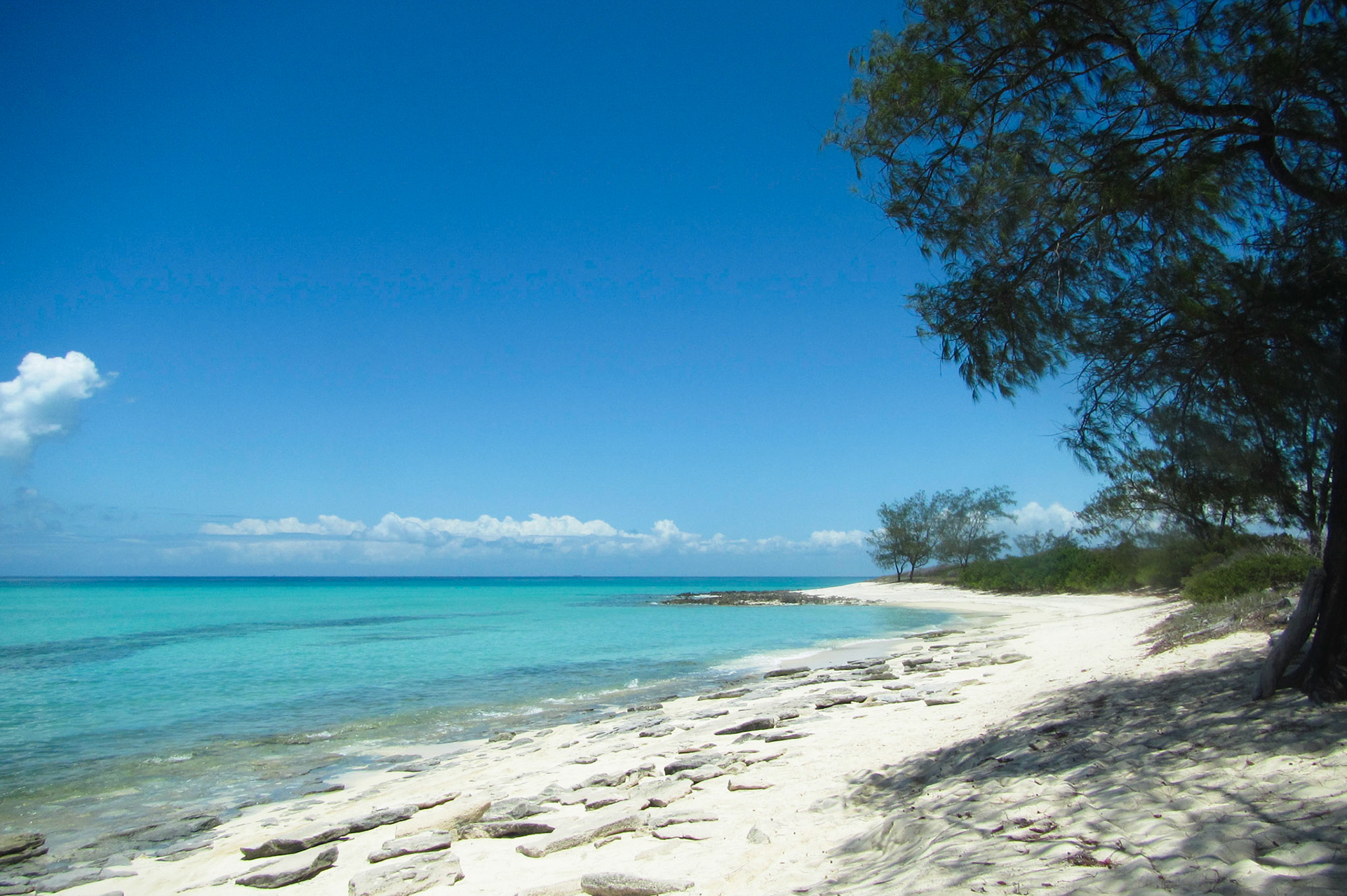 Beach at Muntu Nkulu