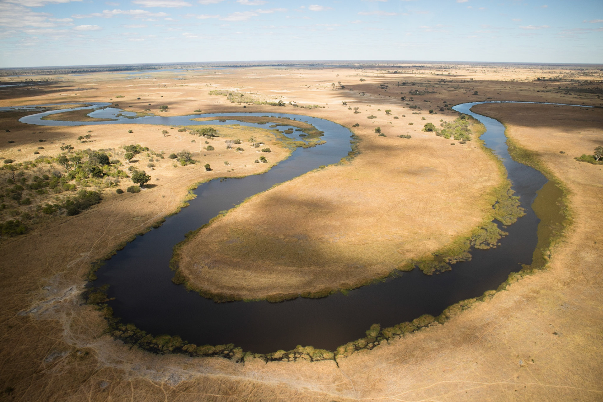 Flying by helicopter along the Selinda Spillway