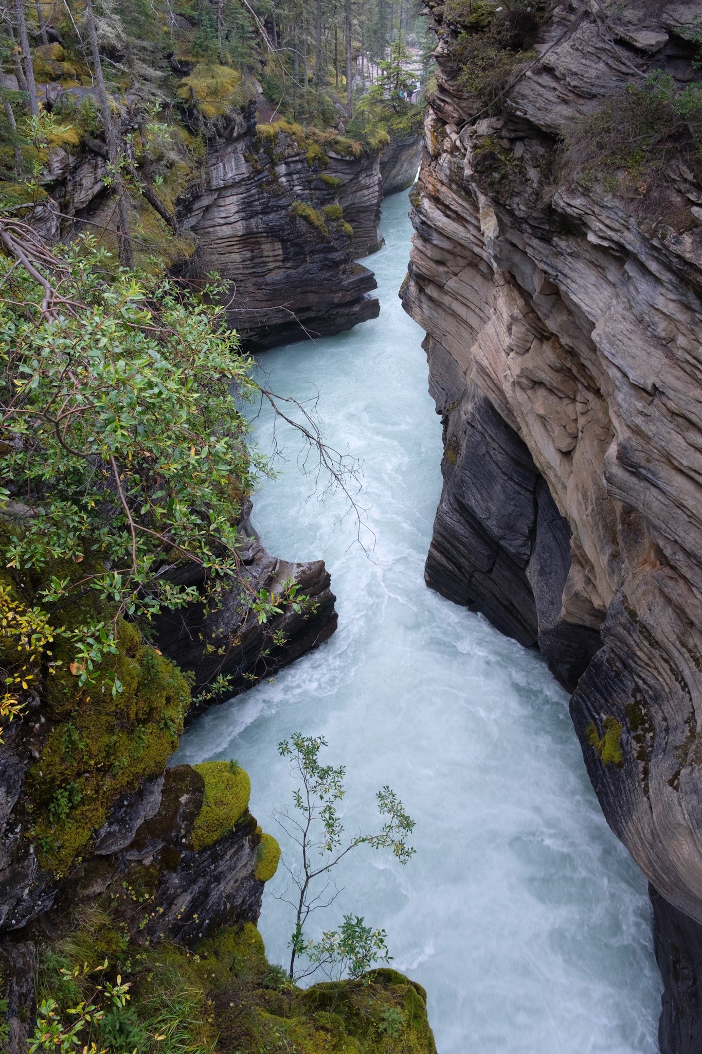 Below Athabasca Falls