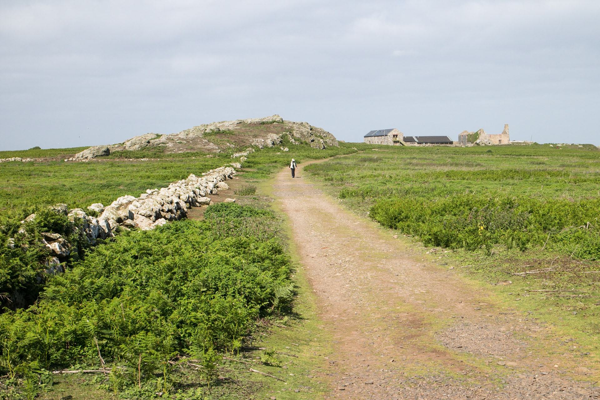 Old farmhouse on Skomer