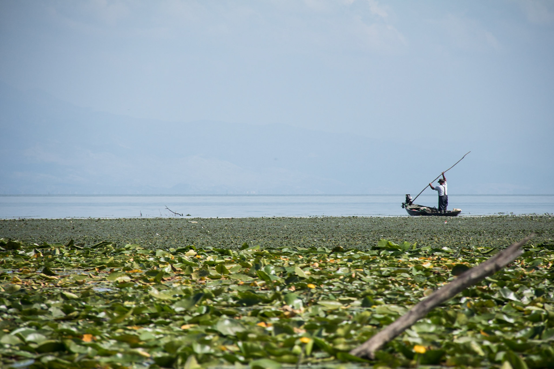 Fisherman on Lake Skadar
