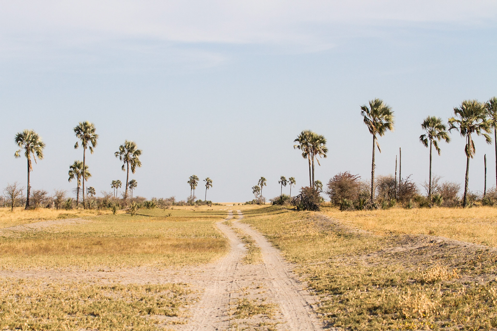 Driving from air strip to San Camp