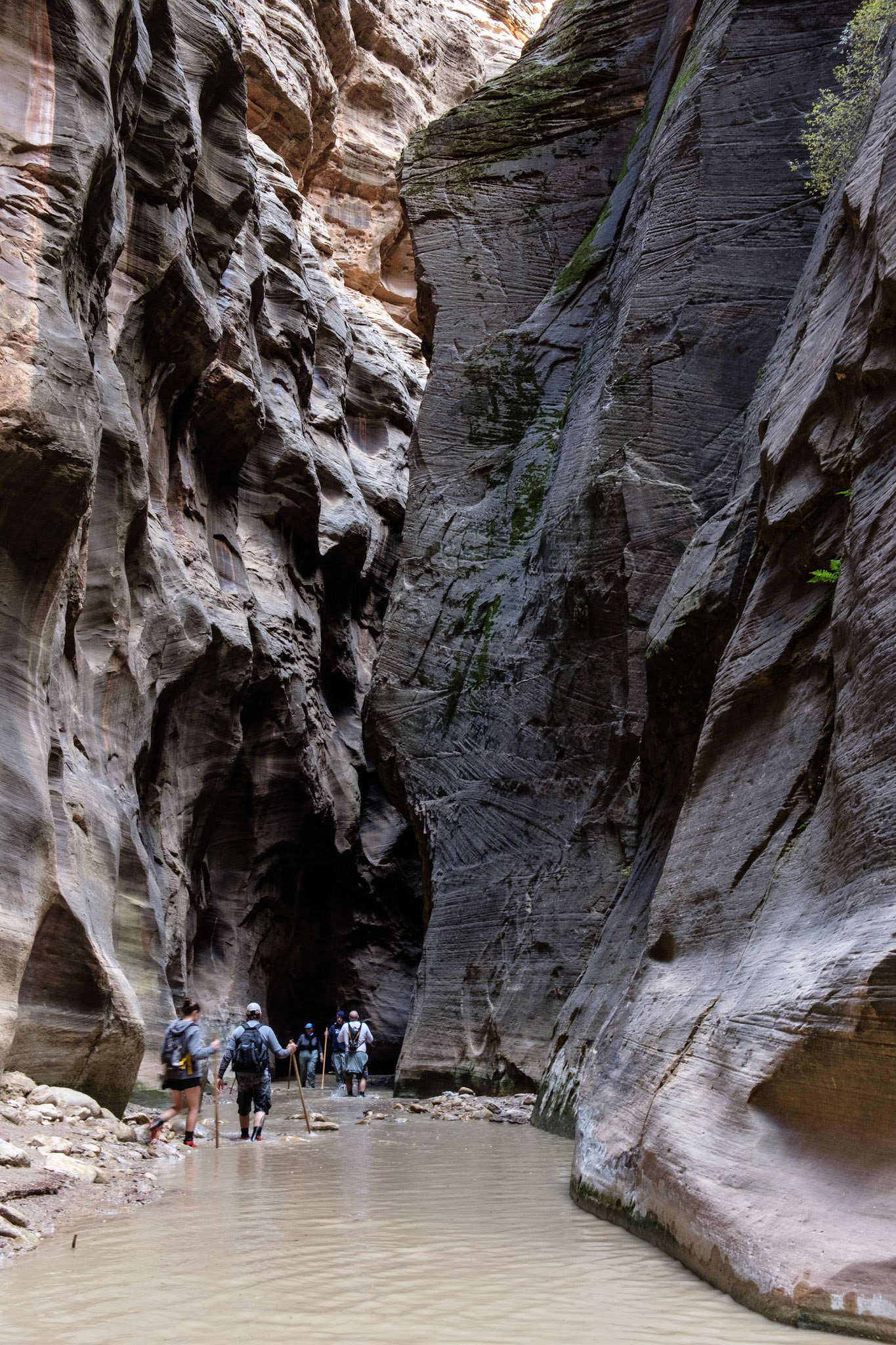Hiking The Narrows, Zion