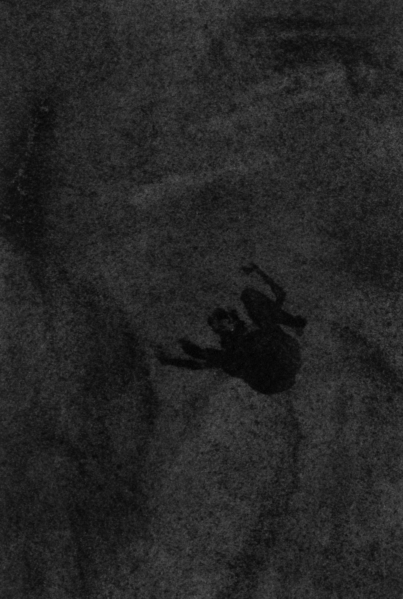 Untitled, graphite on paper, 20,3 x 14,5 cm, 2020