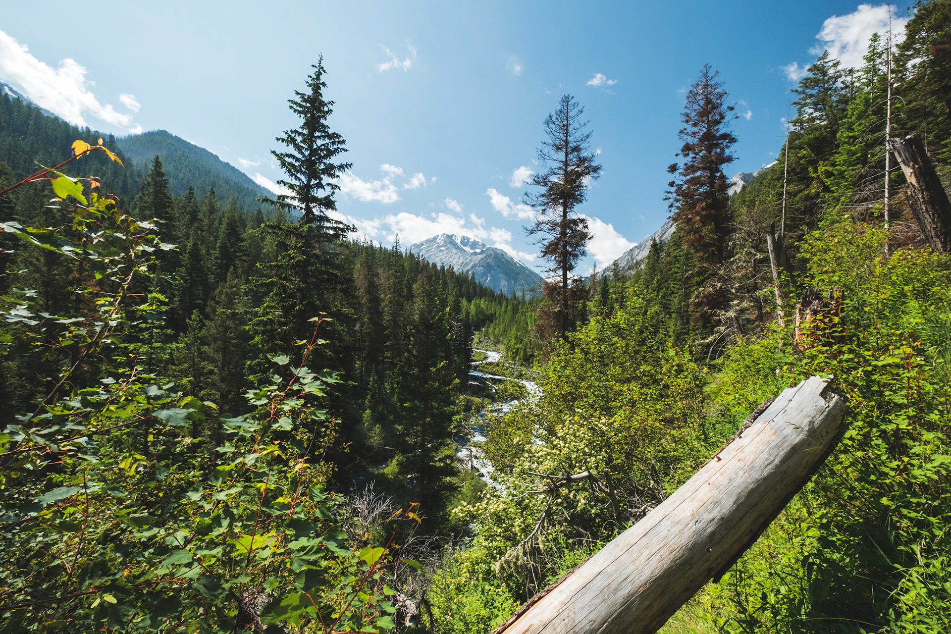 Jason Armstrong Hurricane Creek Eagle Cap Wilderness